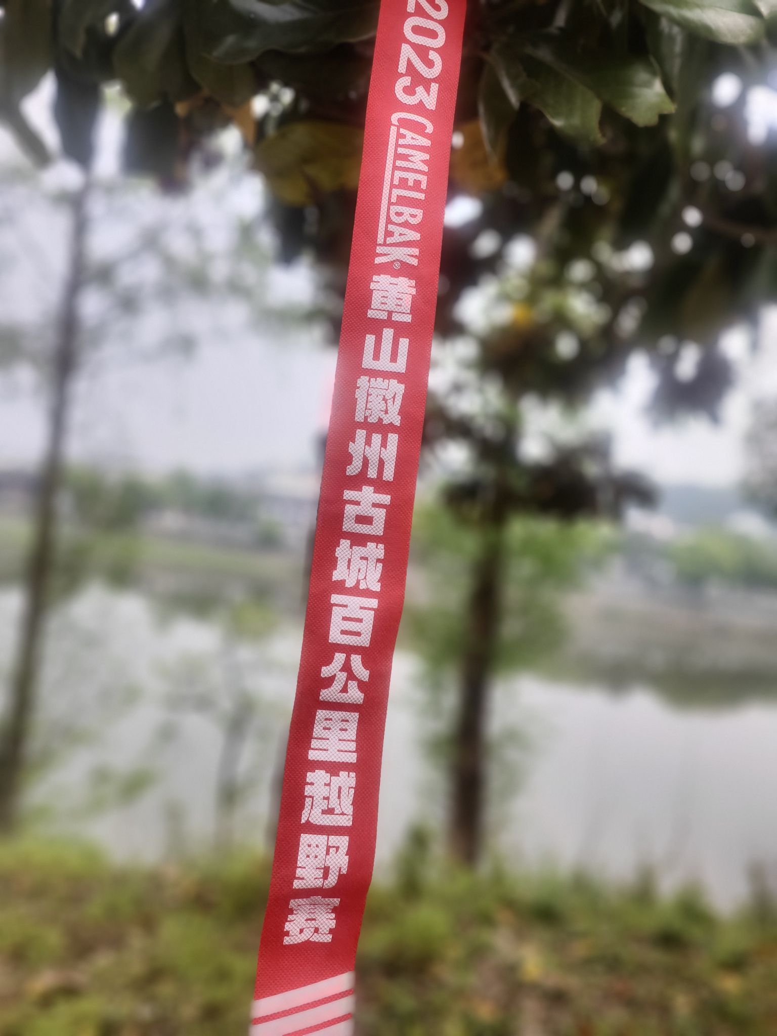 太平桥旅行图片 3