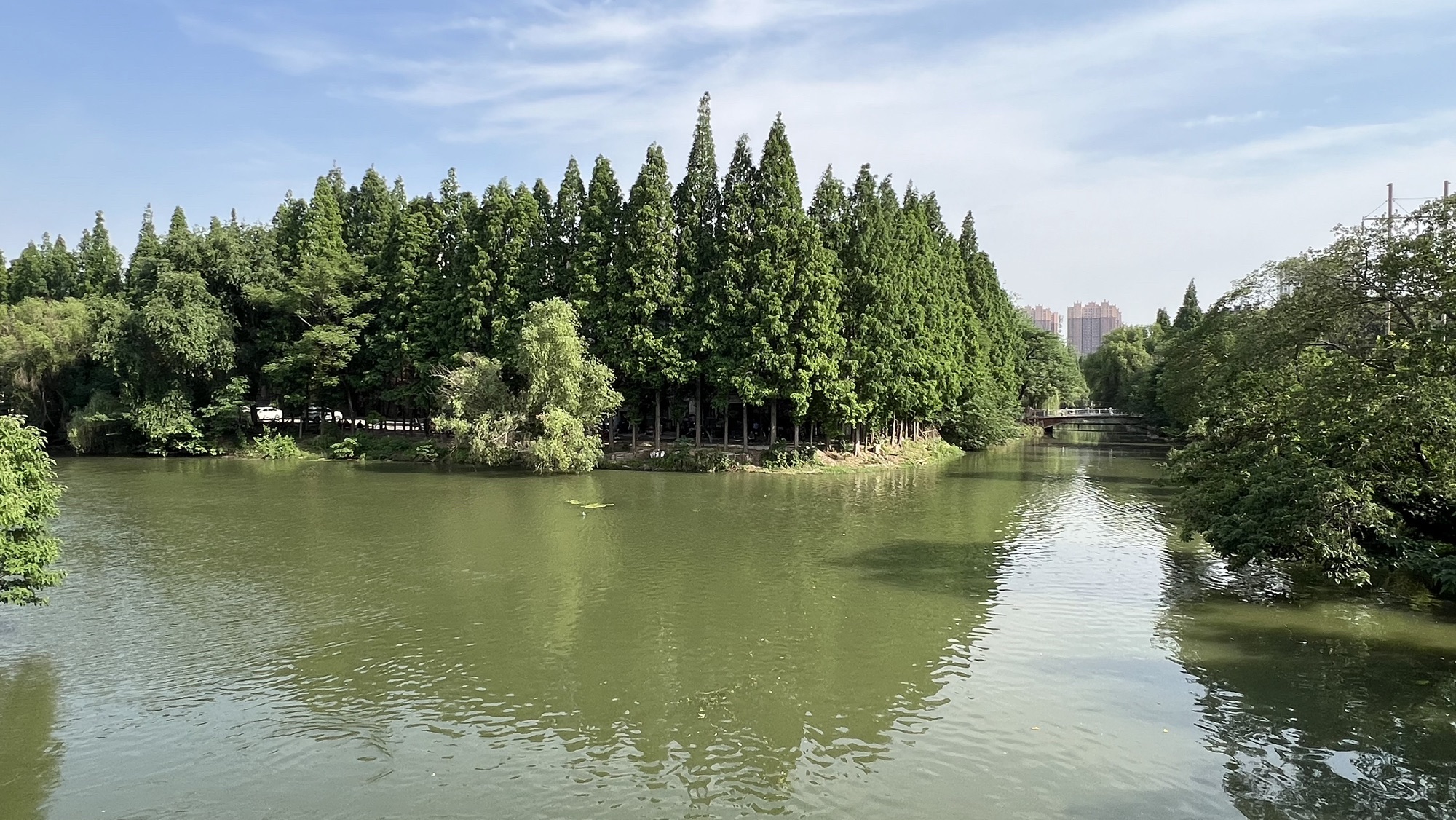 白衣桥旅行图片 3