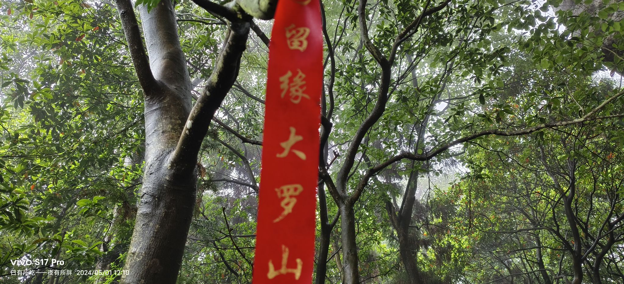 乐清凤凰山旅行图片 2