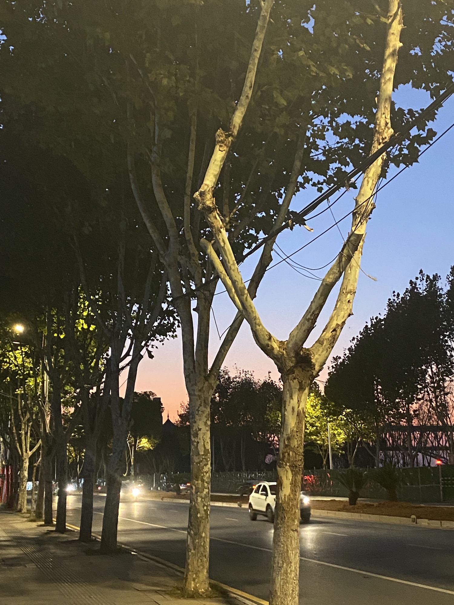 八角石旅行图片 2