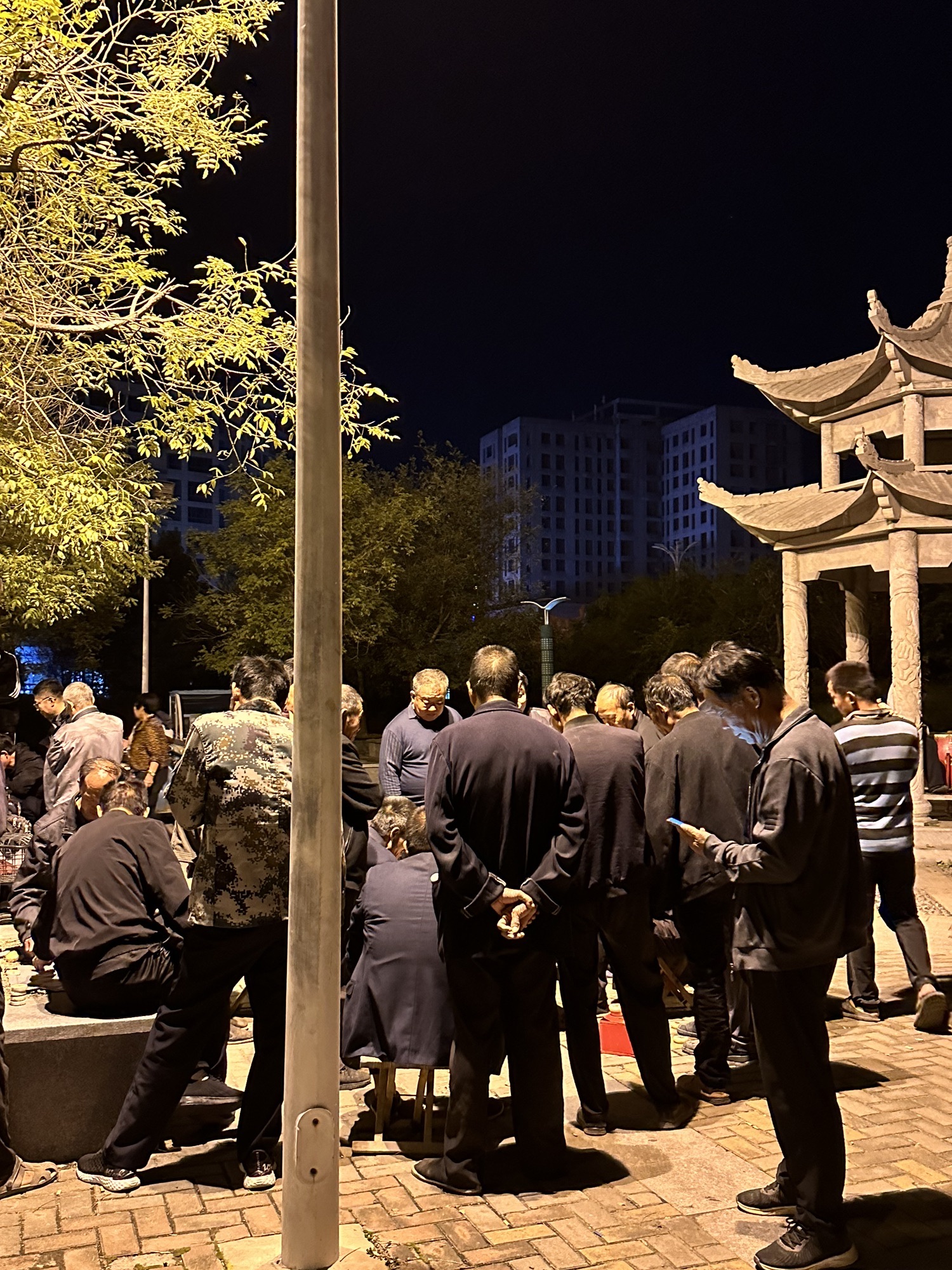 昇龙公园旅行图片 1