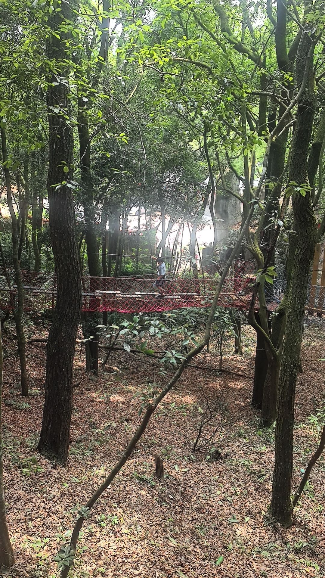 虹山瀑布旅行图片 3