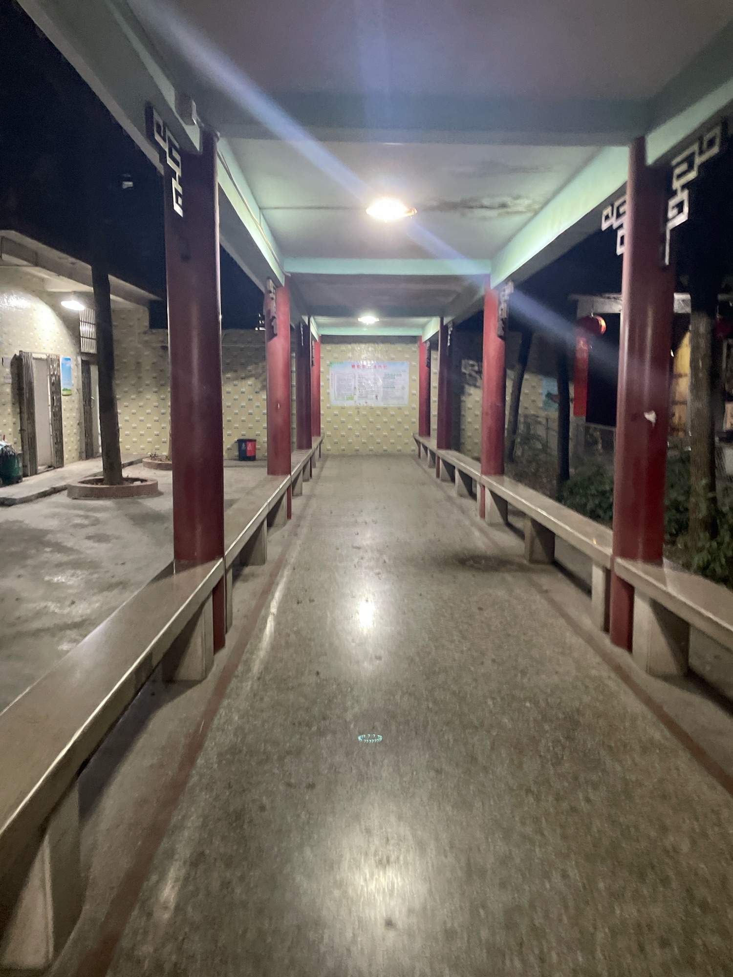 西郊文化公园旅行图片 1