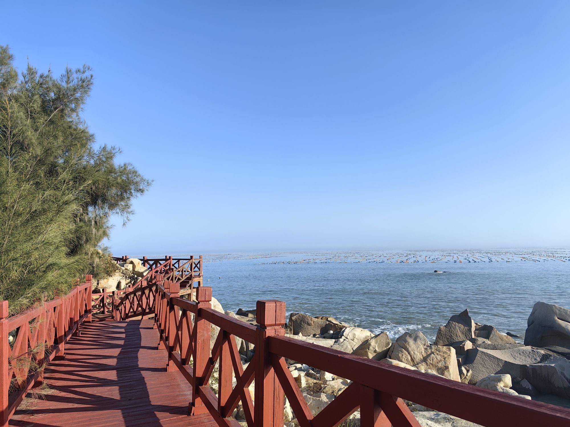 望洋台旅行图片 1