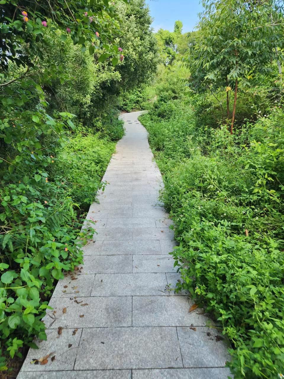 望洋台旅行图片 3