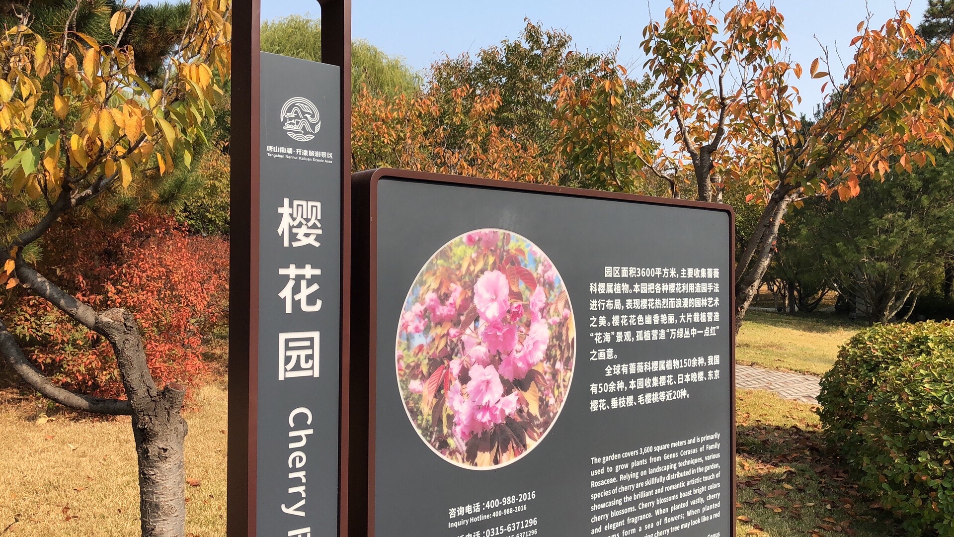 唐山南湖旅游景区-万象森林馆