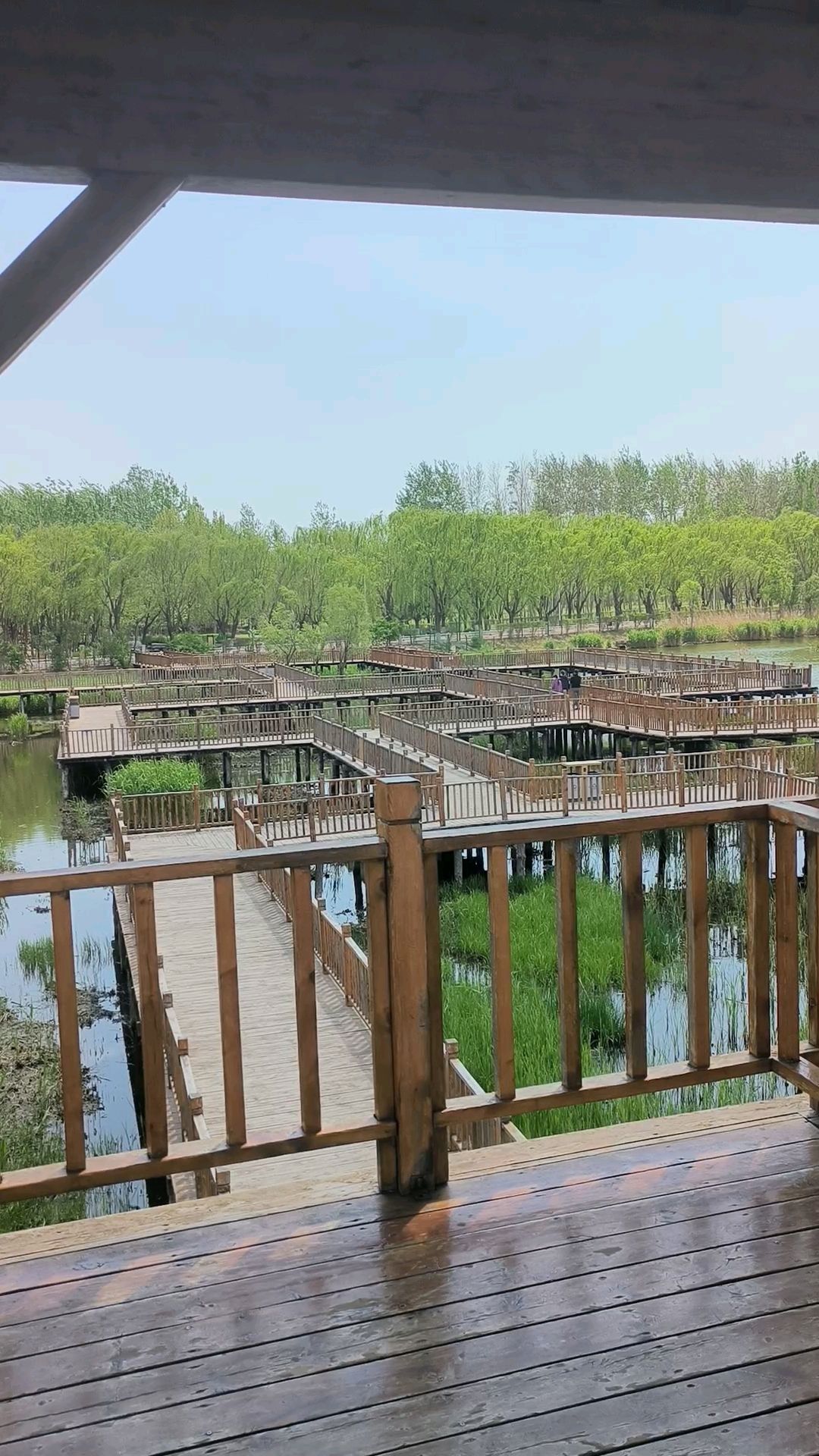 青龙泽旅行图片 2