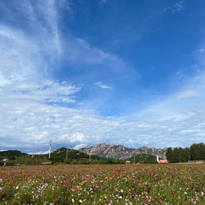 青岛西海岸生态观光园旅行图片 2