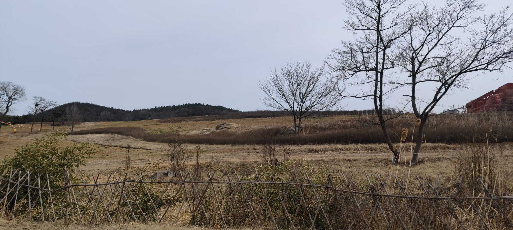 青岛西海岸生态观光园旅行图片 1