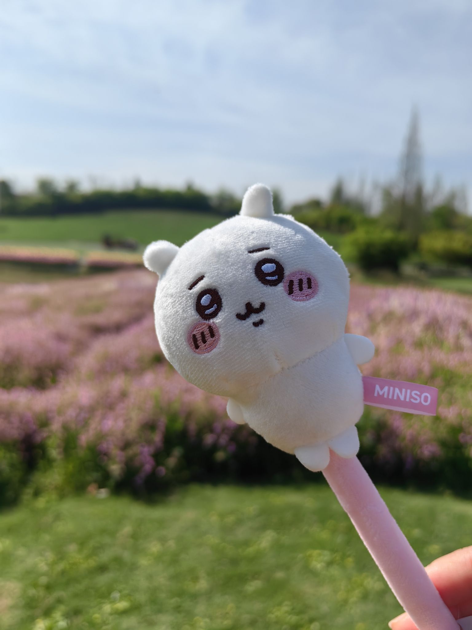 上海花开海上生态园旅行图片 3