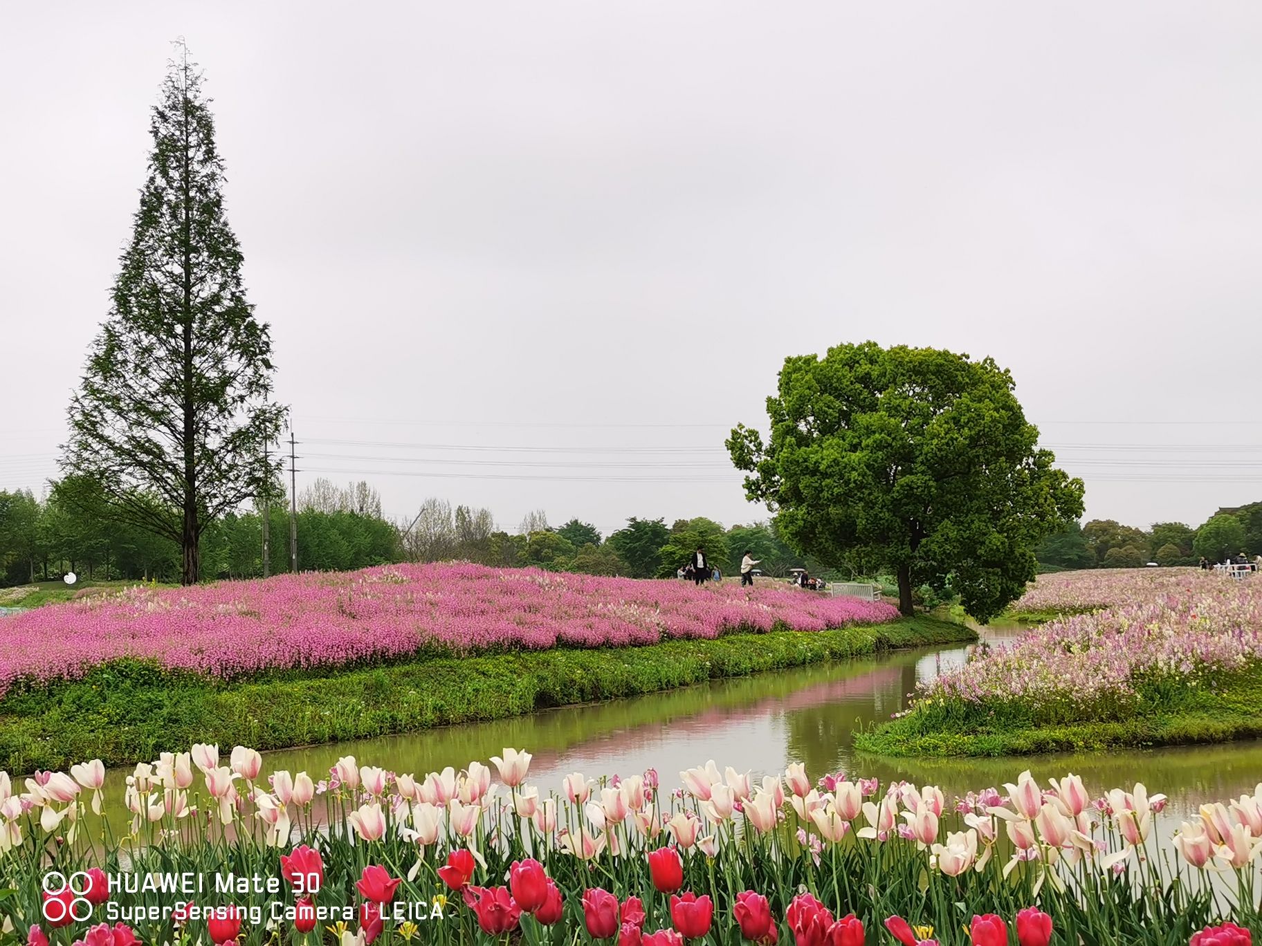 上海花开海上生态园旅行图片 2
