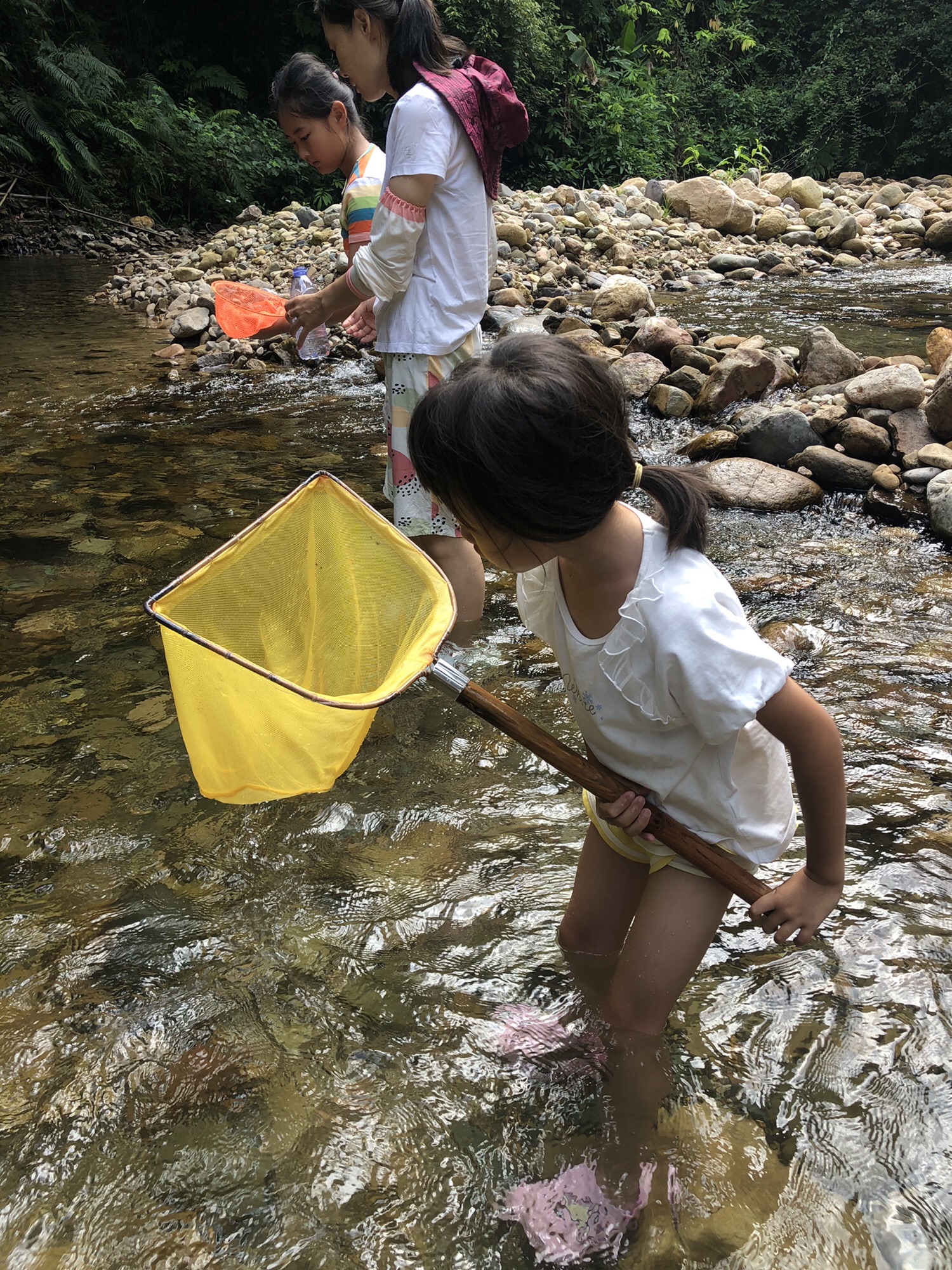 深渡水生态景区旅行图片 3