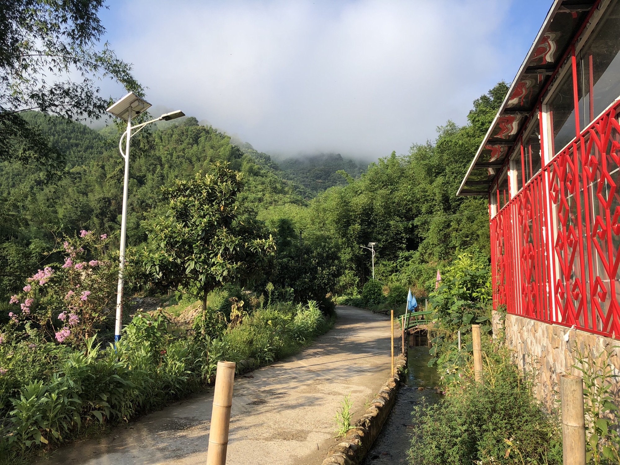 深渡水生态景区旅行图片 3