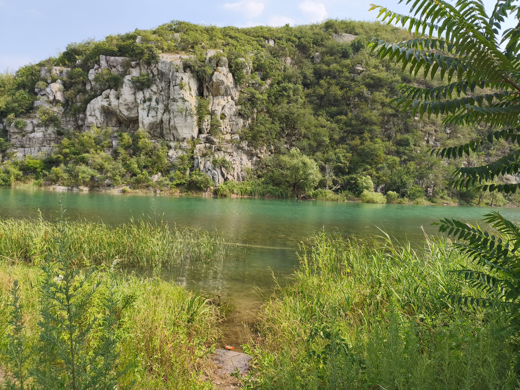 清水湾