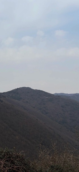 江苏大阳山国家森林公园-俯象峰旅行图片 3