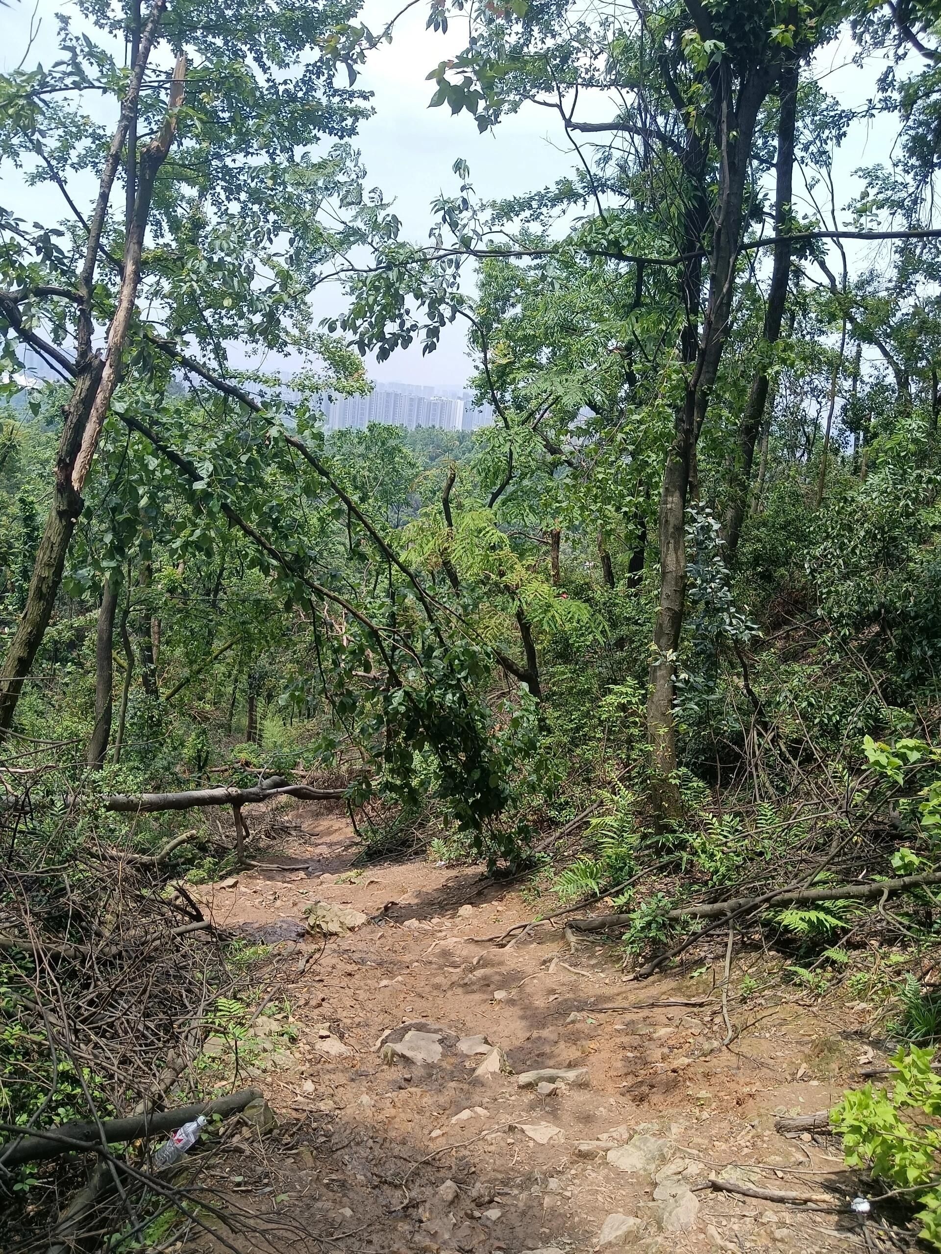 江苏大阳山国家森林公园-俯象峰旅行图片 3