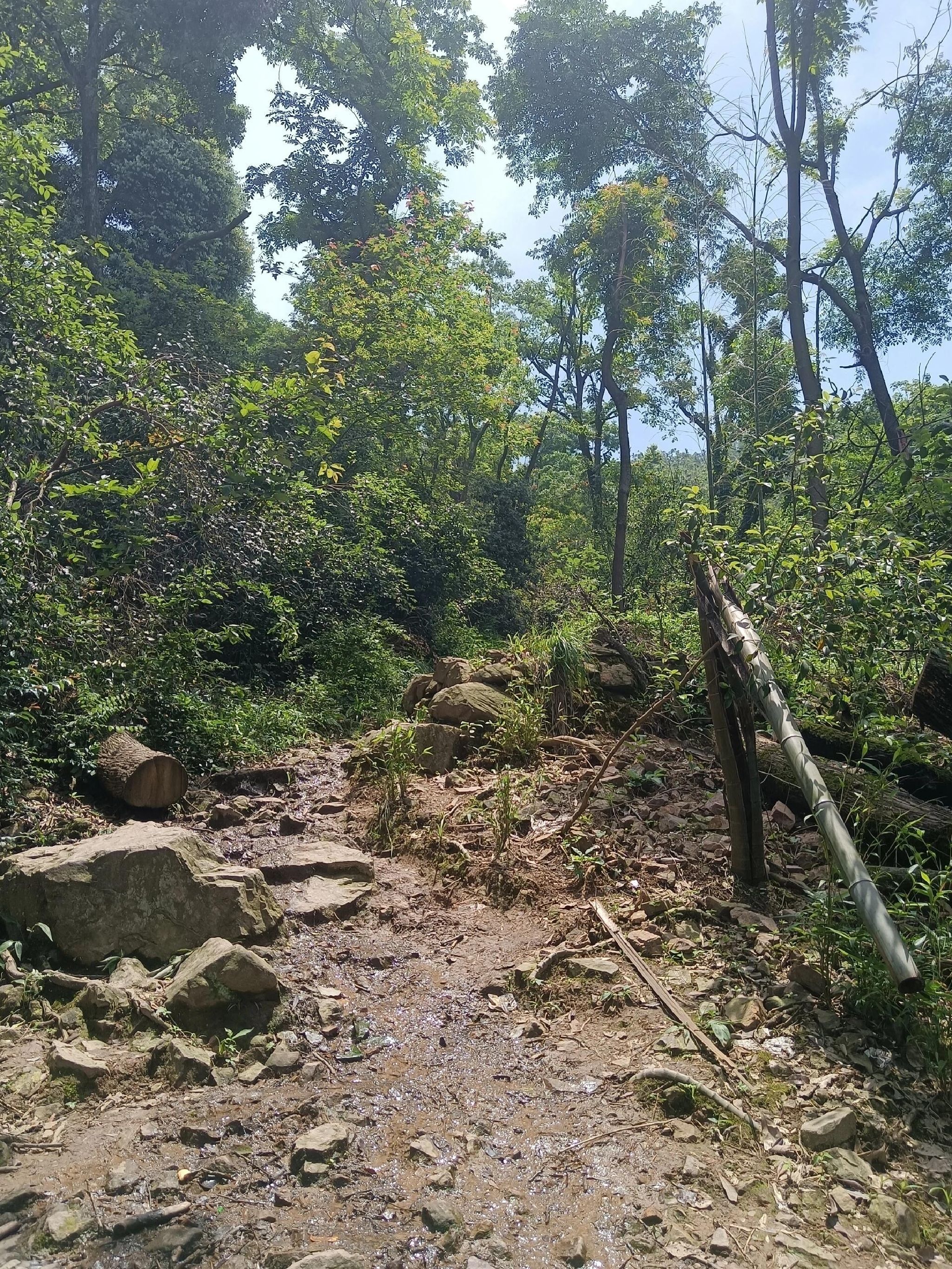 江苏大阳山国家森林公园-俯象峰旅行图片 1