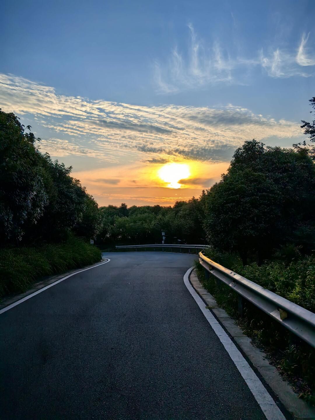 江苏大阳山国家森林公园-俯象峰旅行图片 1