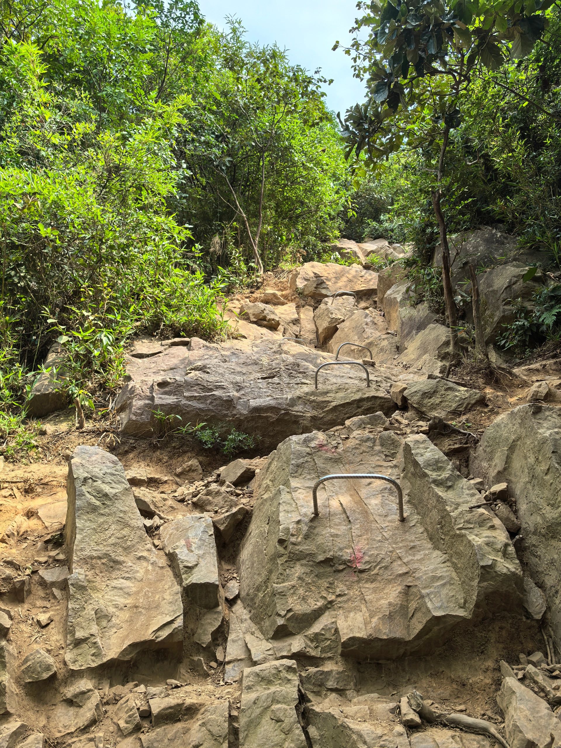 江苏大阳山国家森林公园-俯象峰旅行图片 2