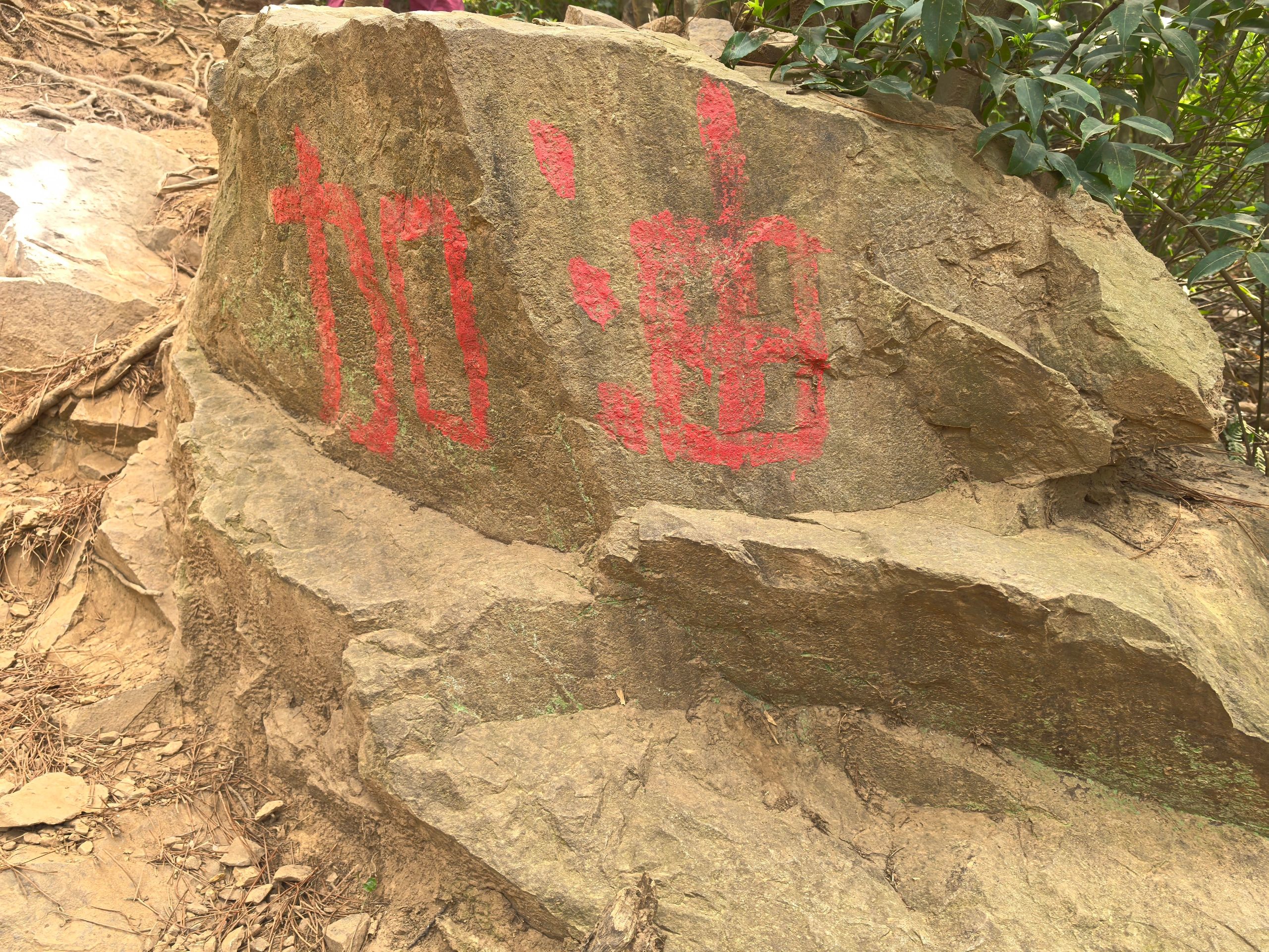 江苏大阳山国家森林公园-俯象峰旅行图片 3