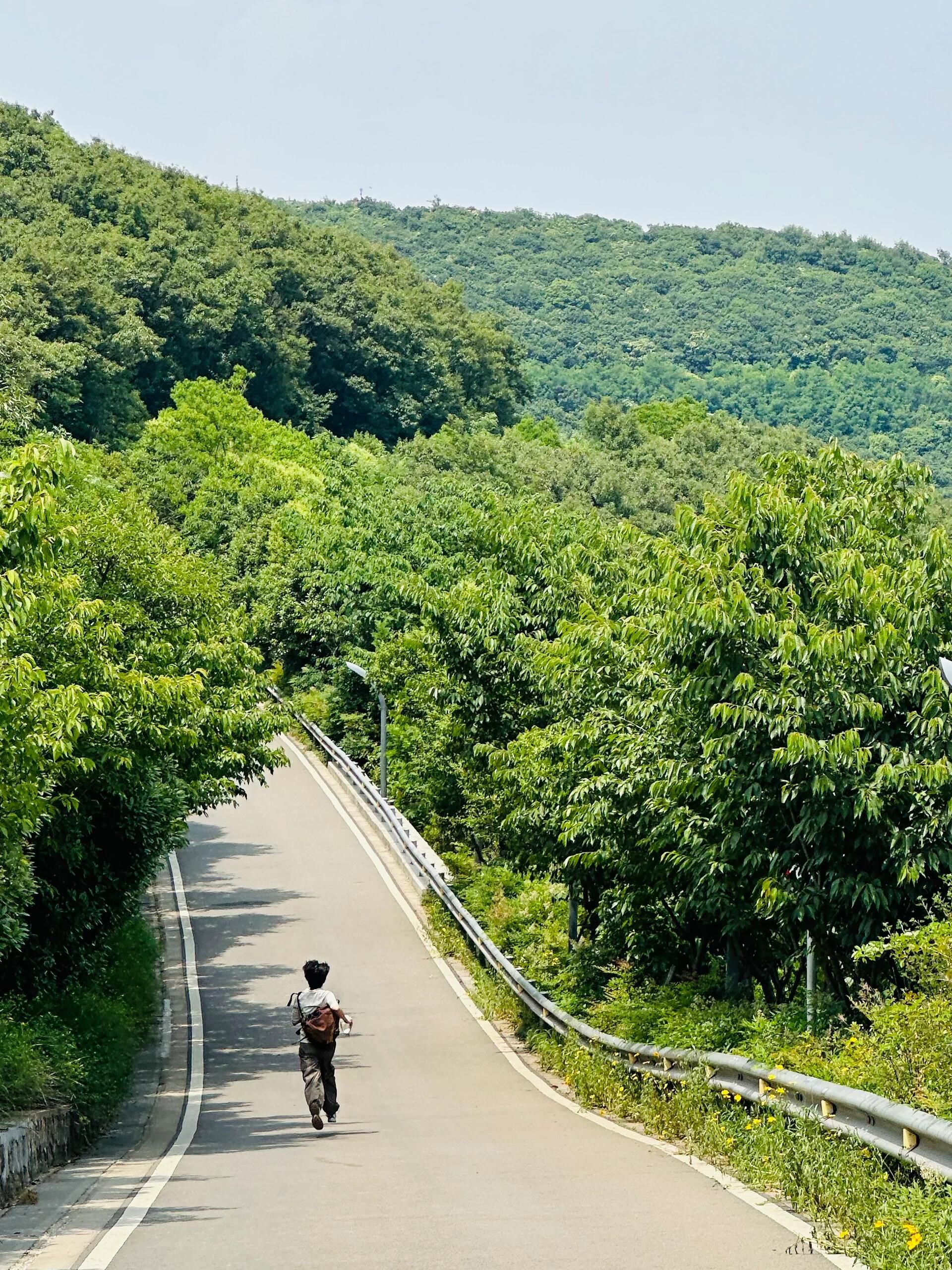 江苏大阳山国家森林公园-俯象峰旅行图片 3