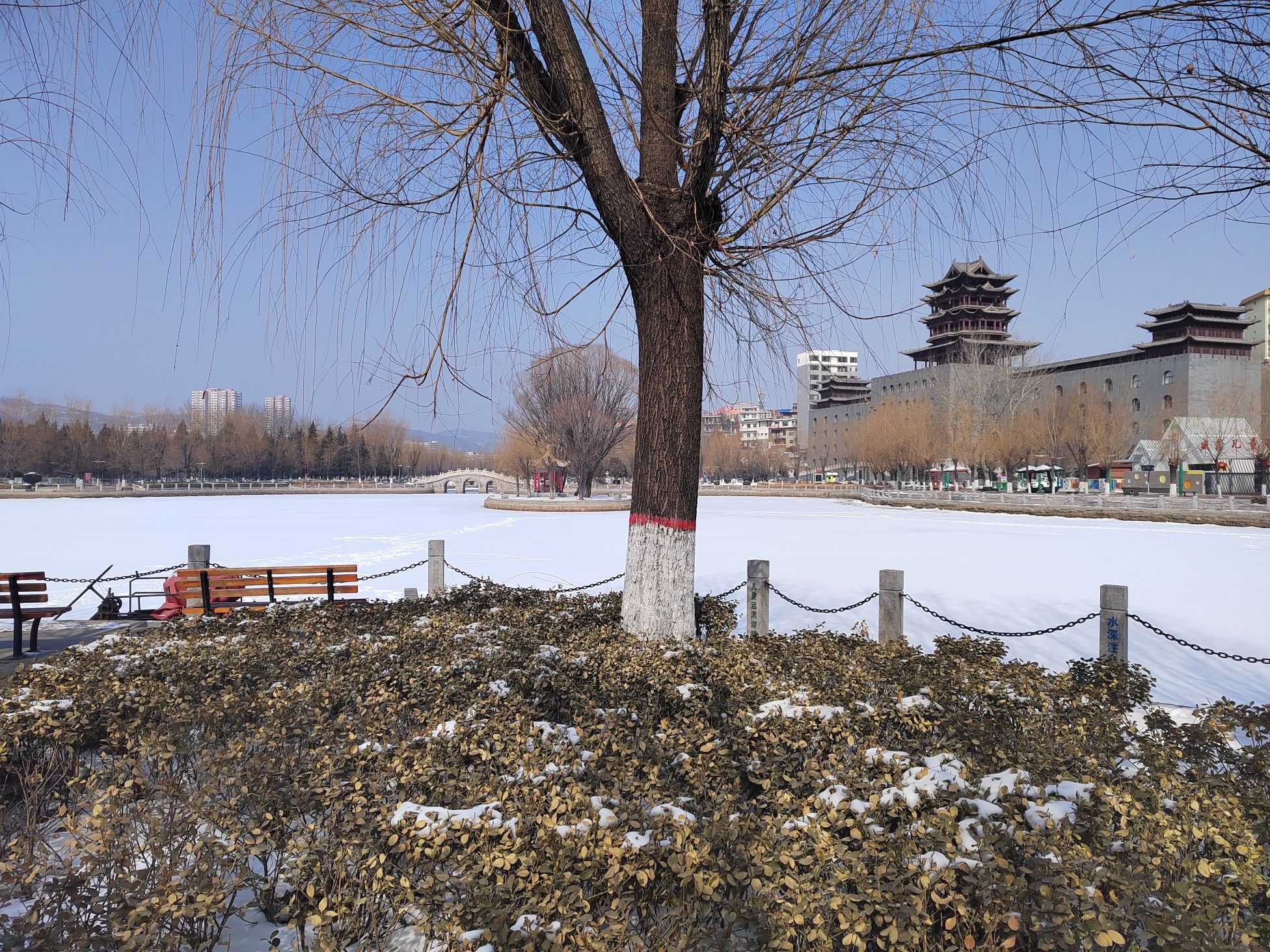 莲花池公园旅行图片 2