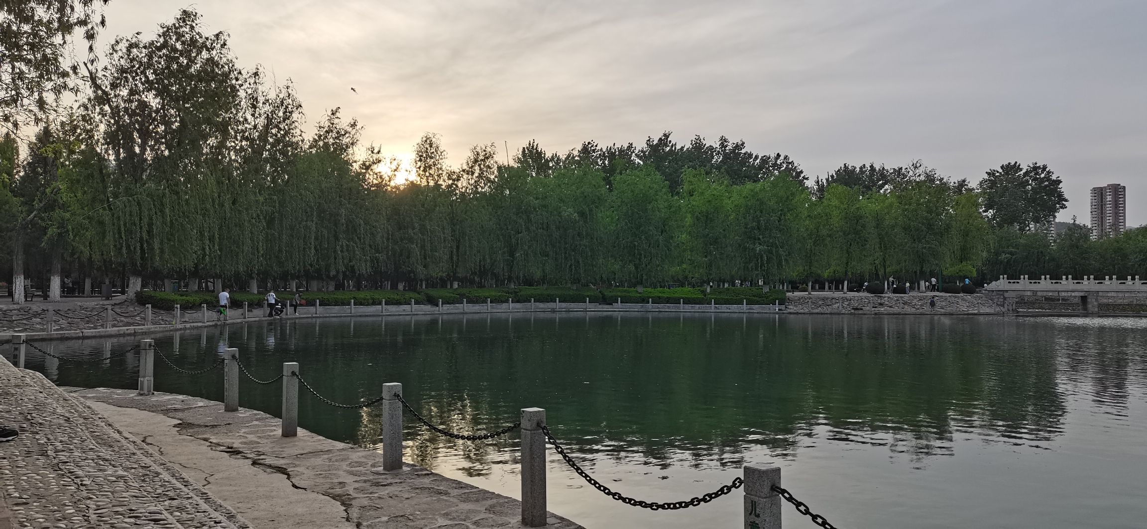 莲花池公园旅行图片 3