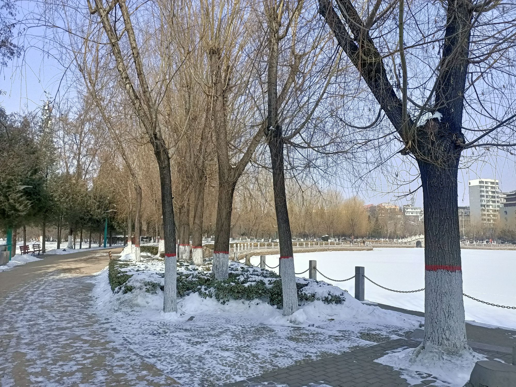 莲花池公园旅行图片 2