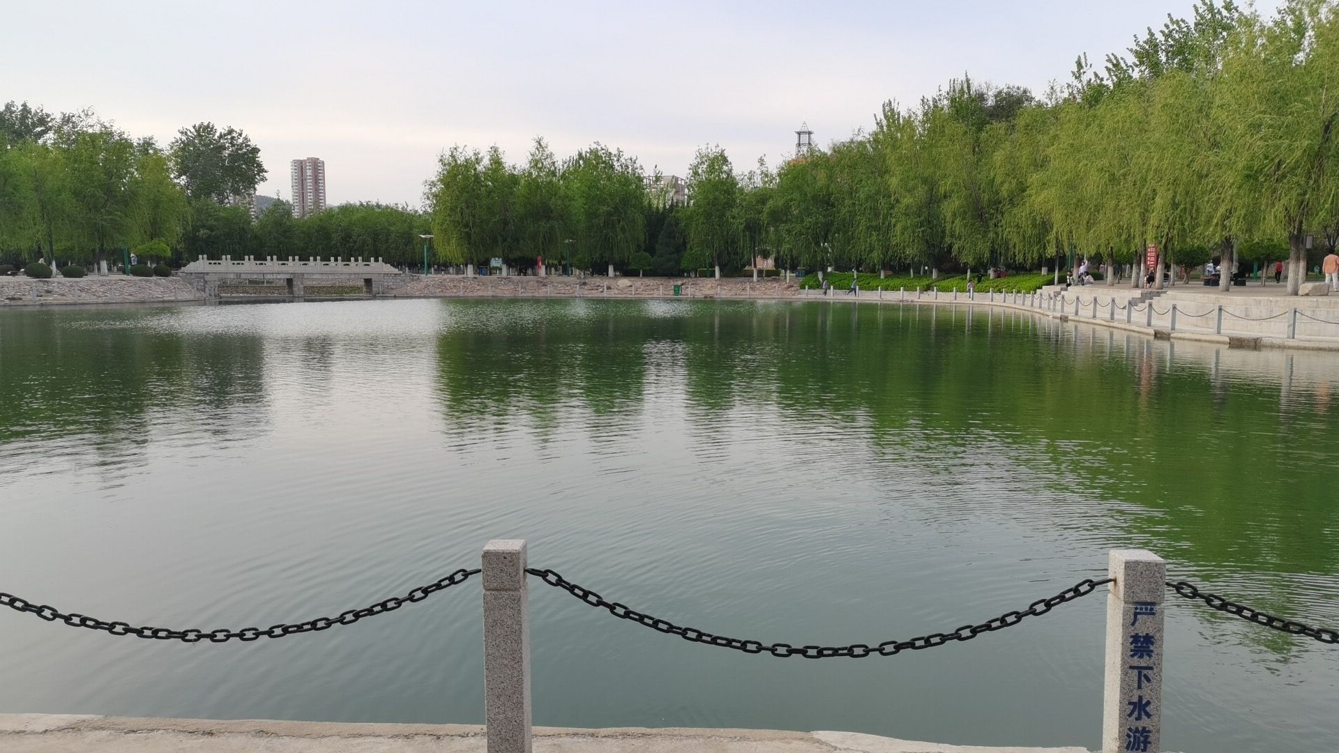 莲花池公园旅行图片 1