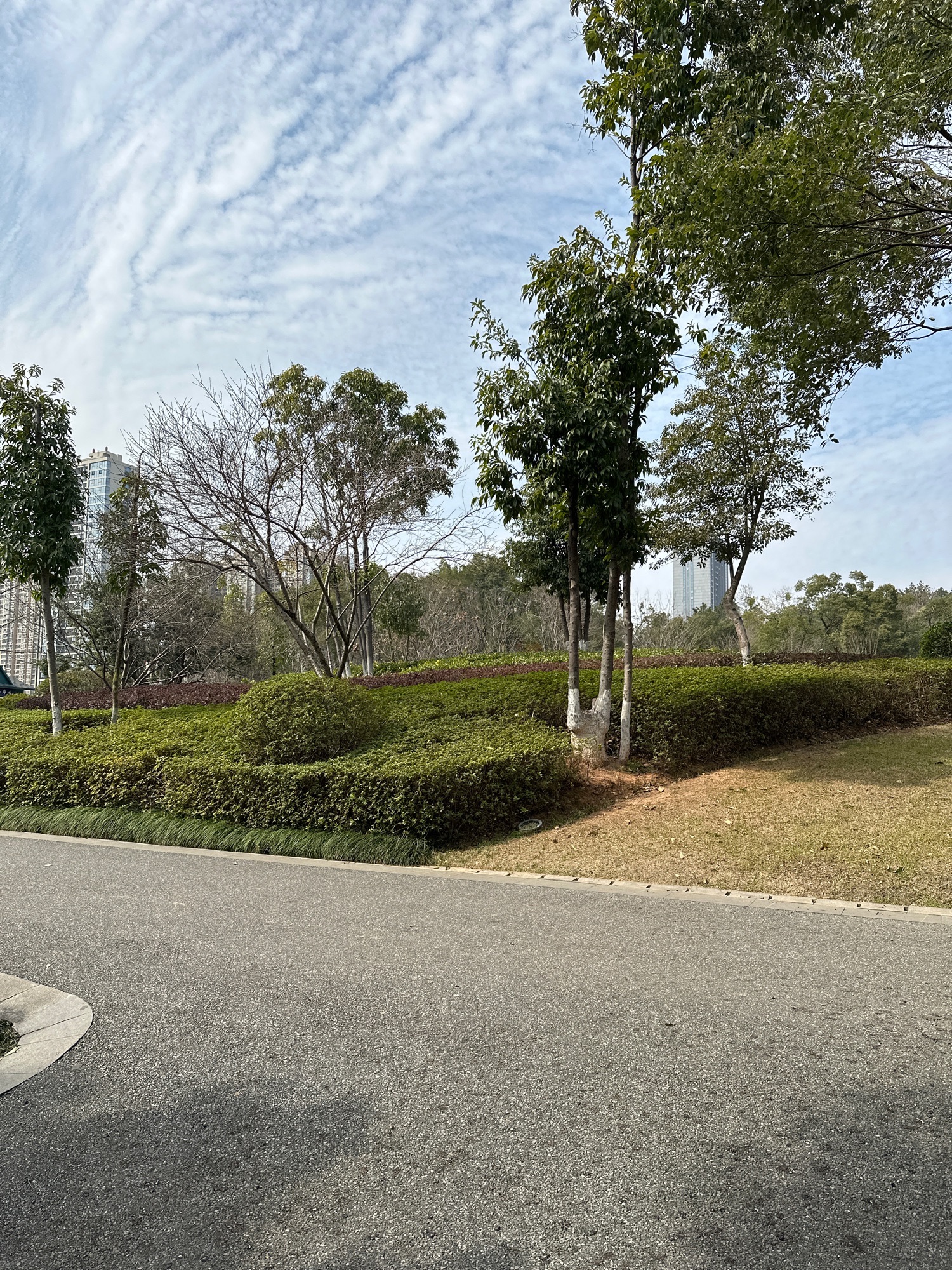八方公园旅行图片 1