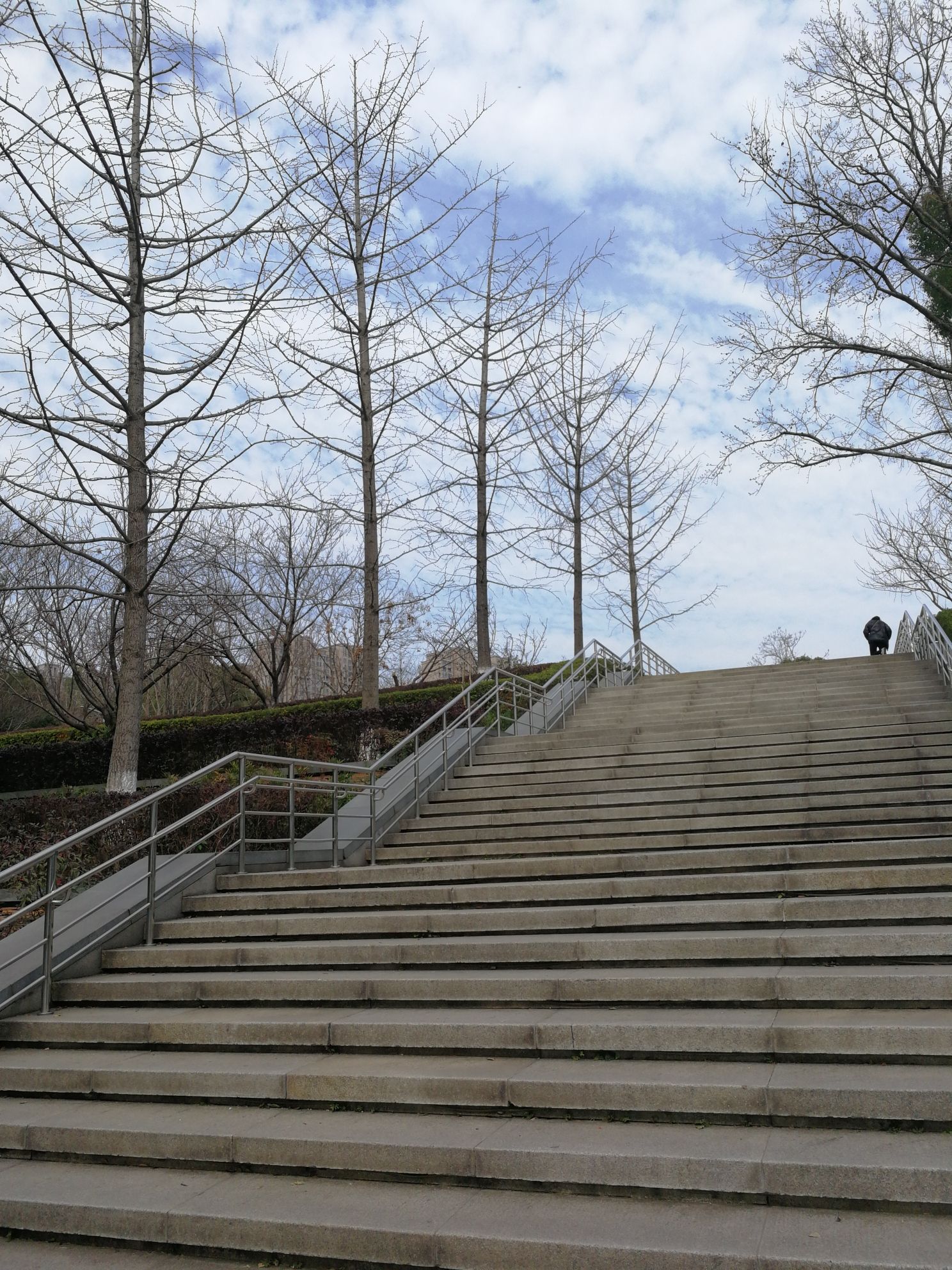 八方公园旅行图片 3