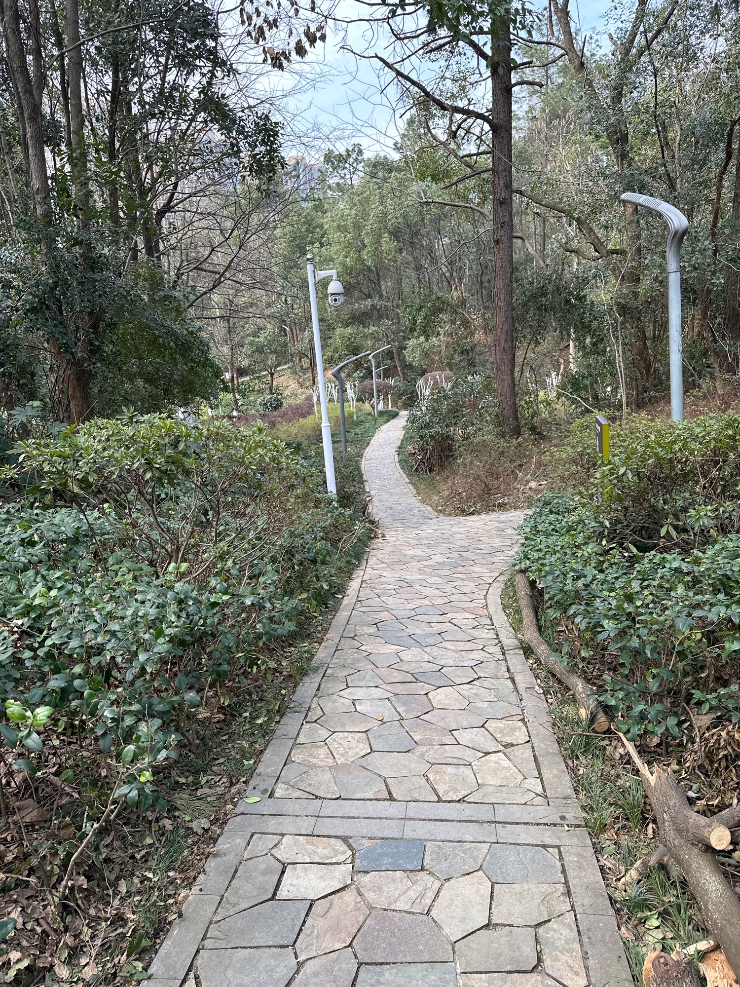 八方公园旅行图片 3