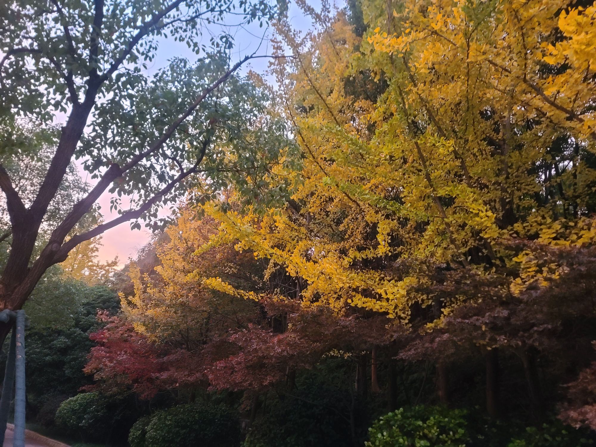 八方公园旅行图片 3