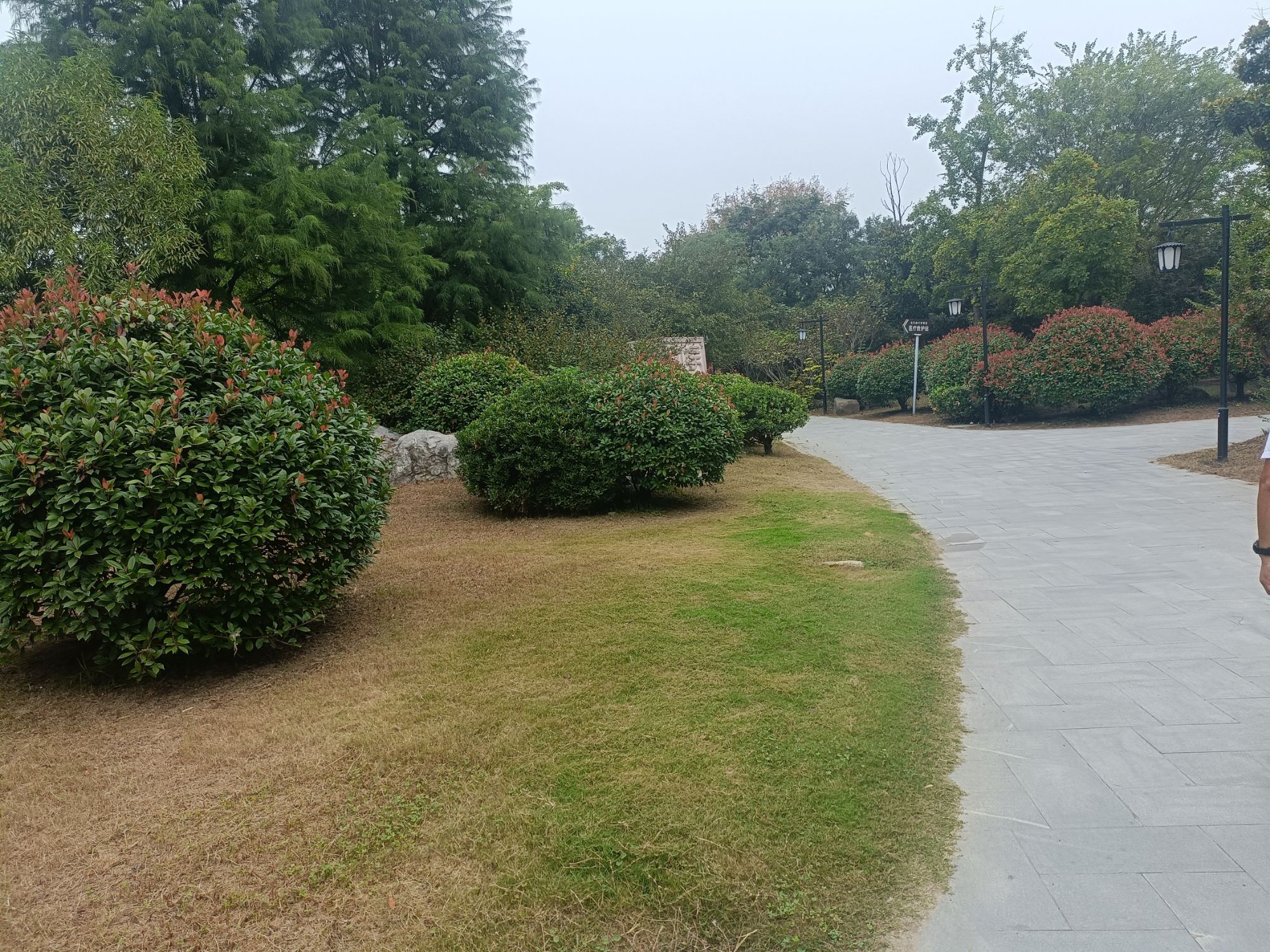 皂河古镇旅行图片 2