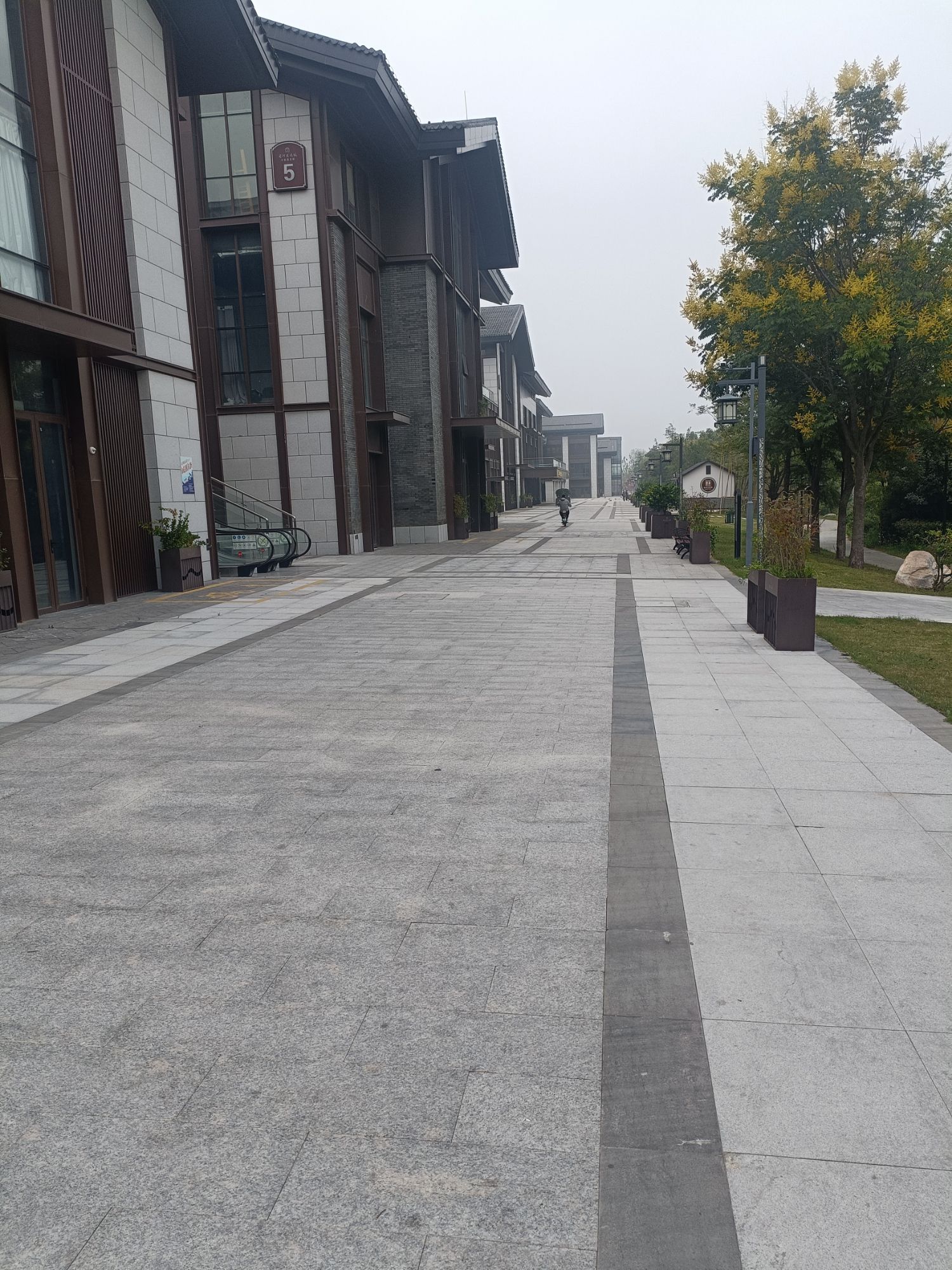 皂河古镇旅行图片 1
