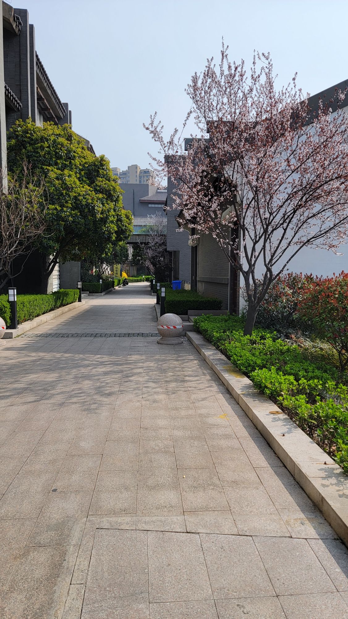 鲁南水城旅行图片 3
