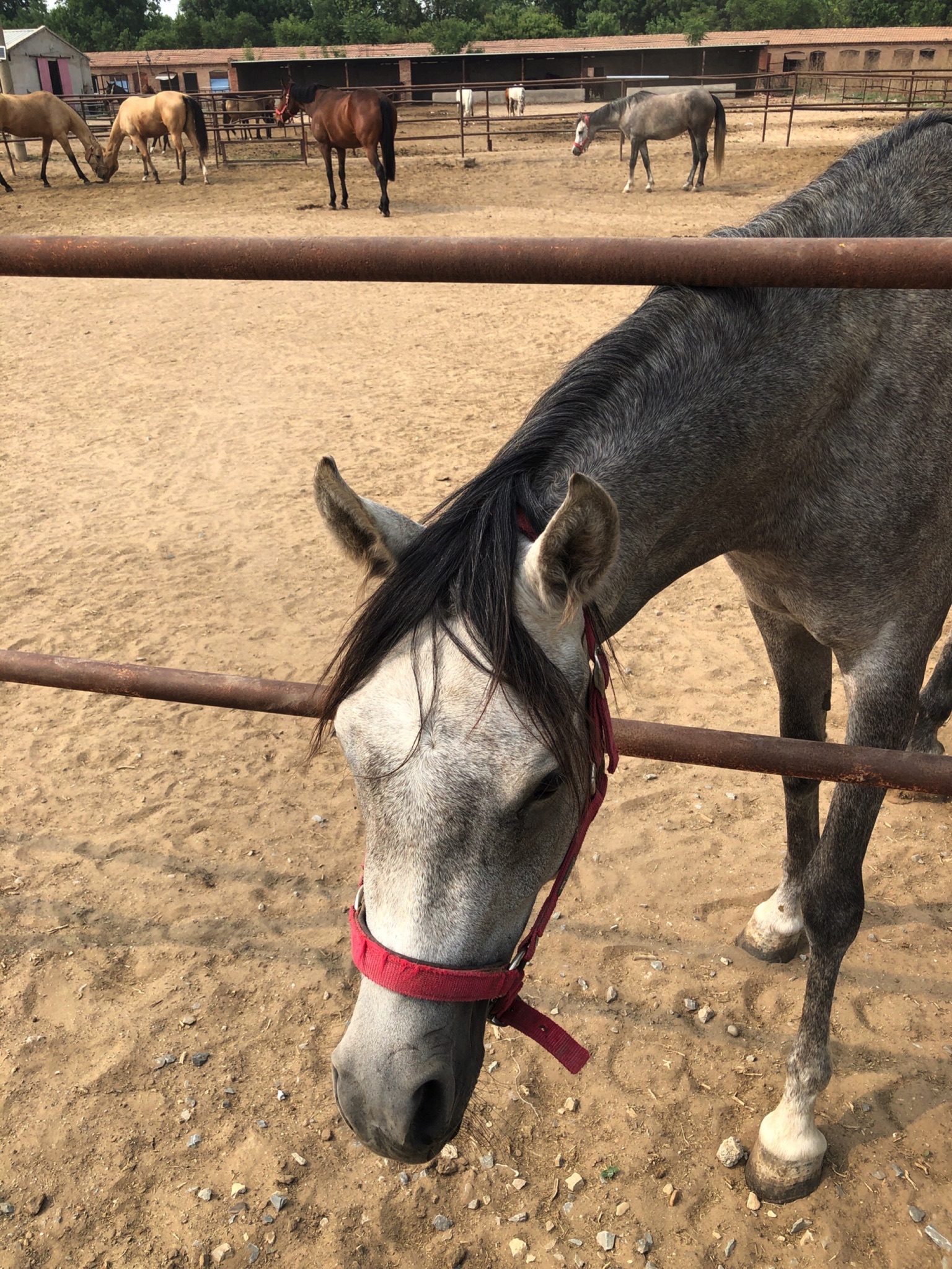 东方世纪骑士公园