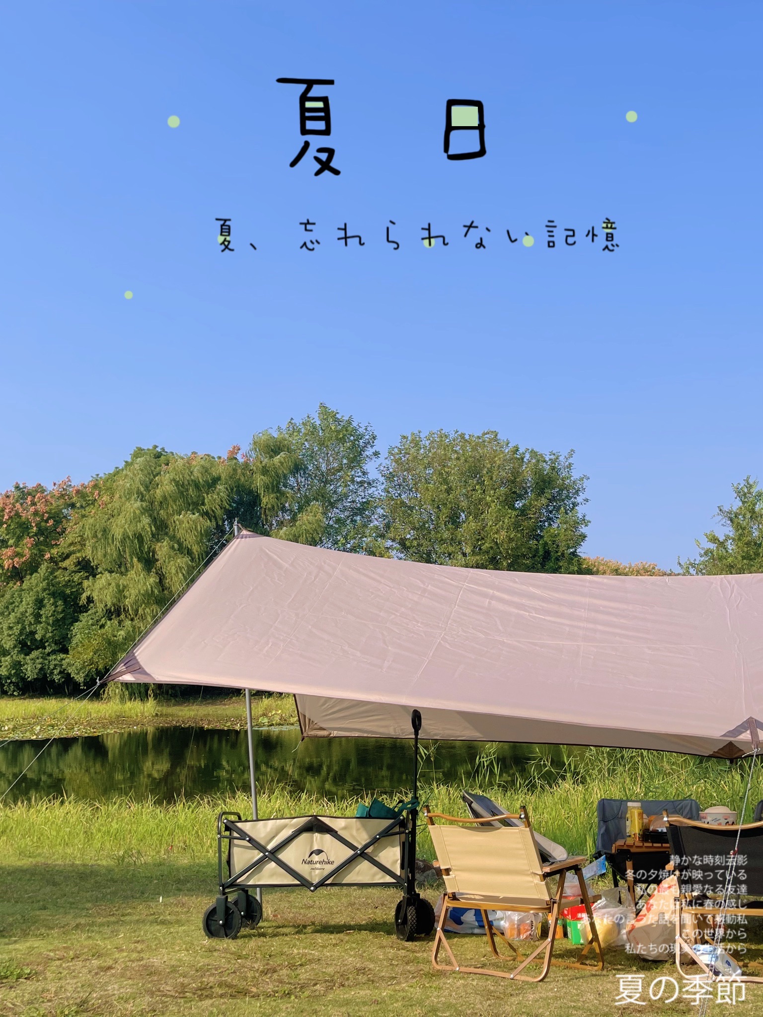 香樟园旅行图片 1