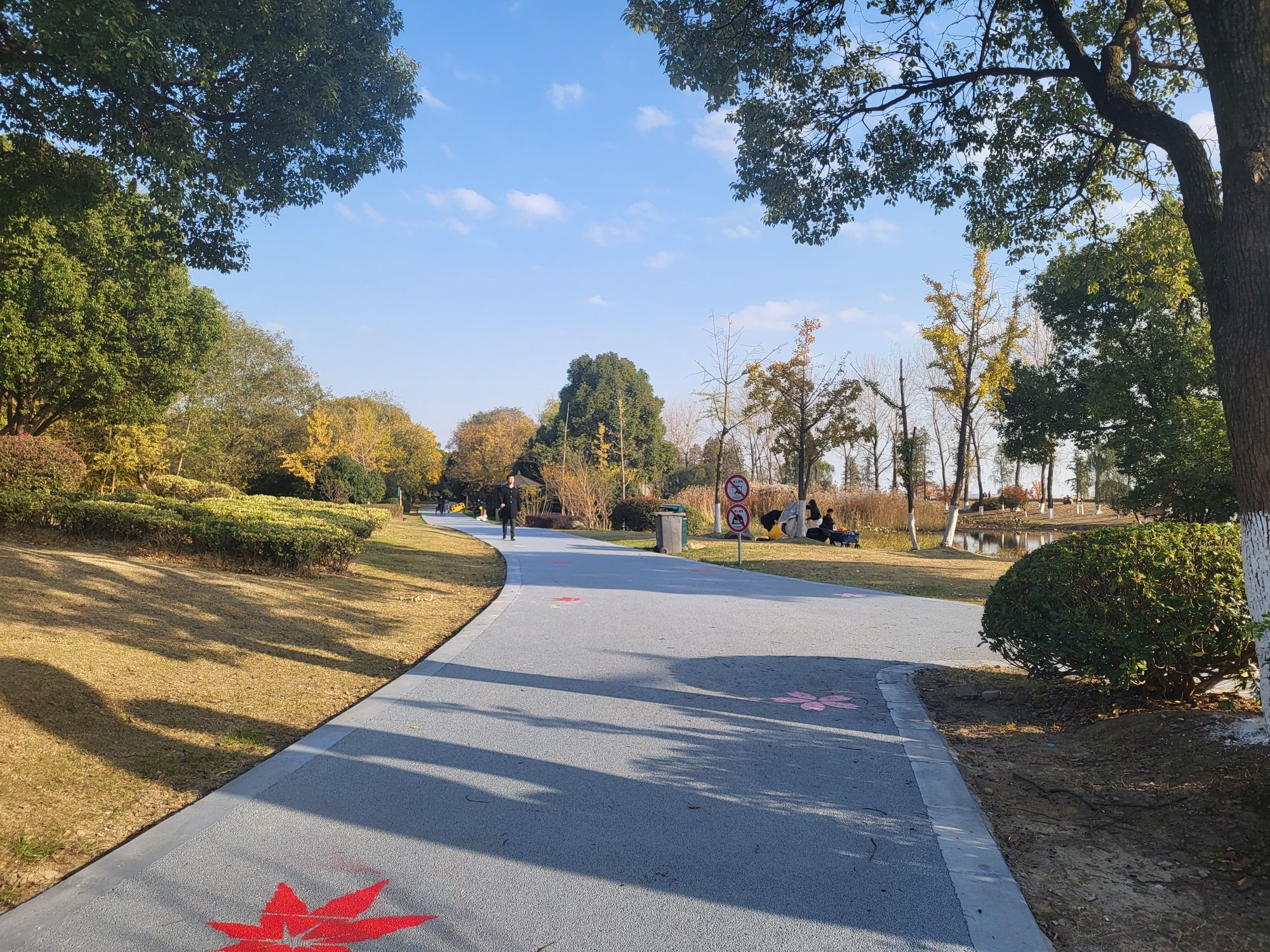 香樟园旅行图片 3