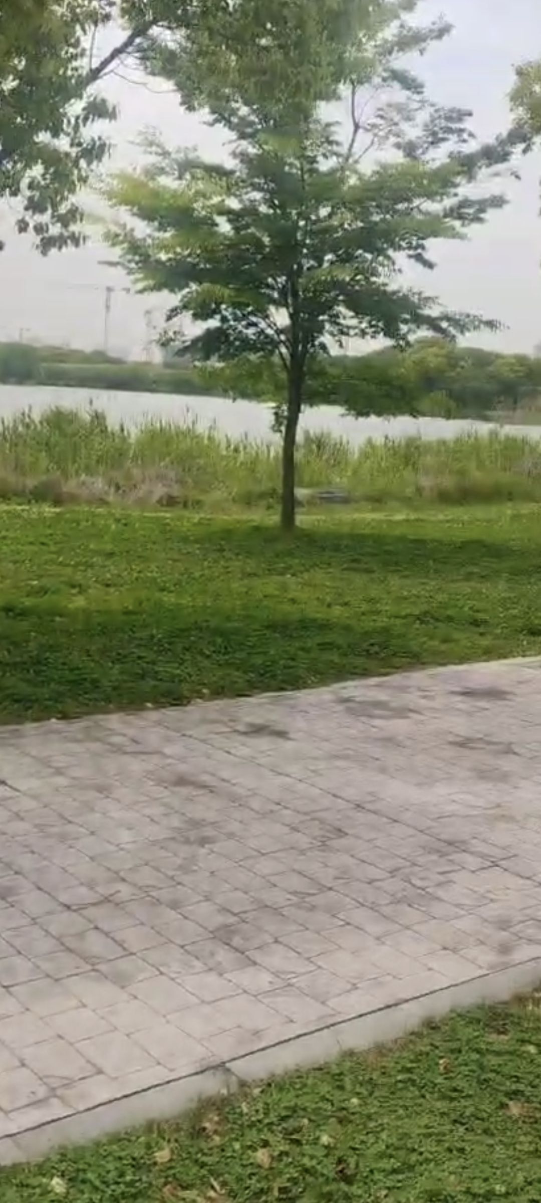 香樟园旅行图片 2