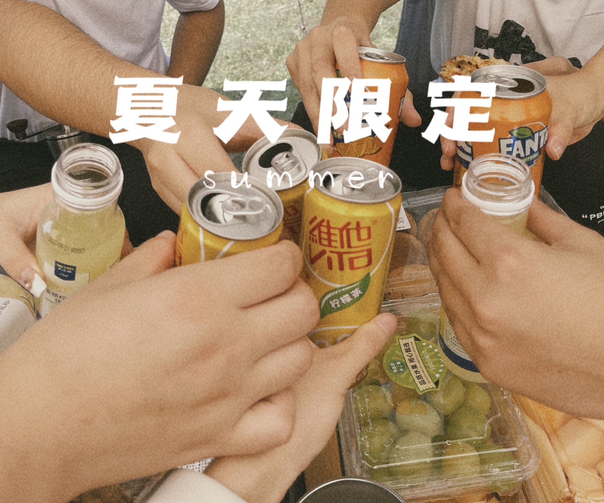 香樟园旅行图片 2