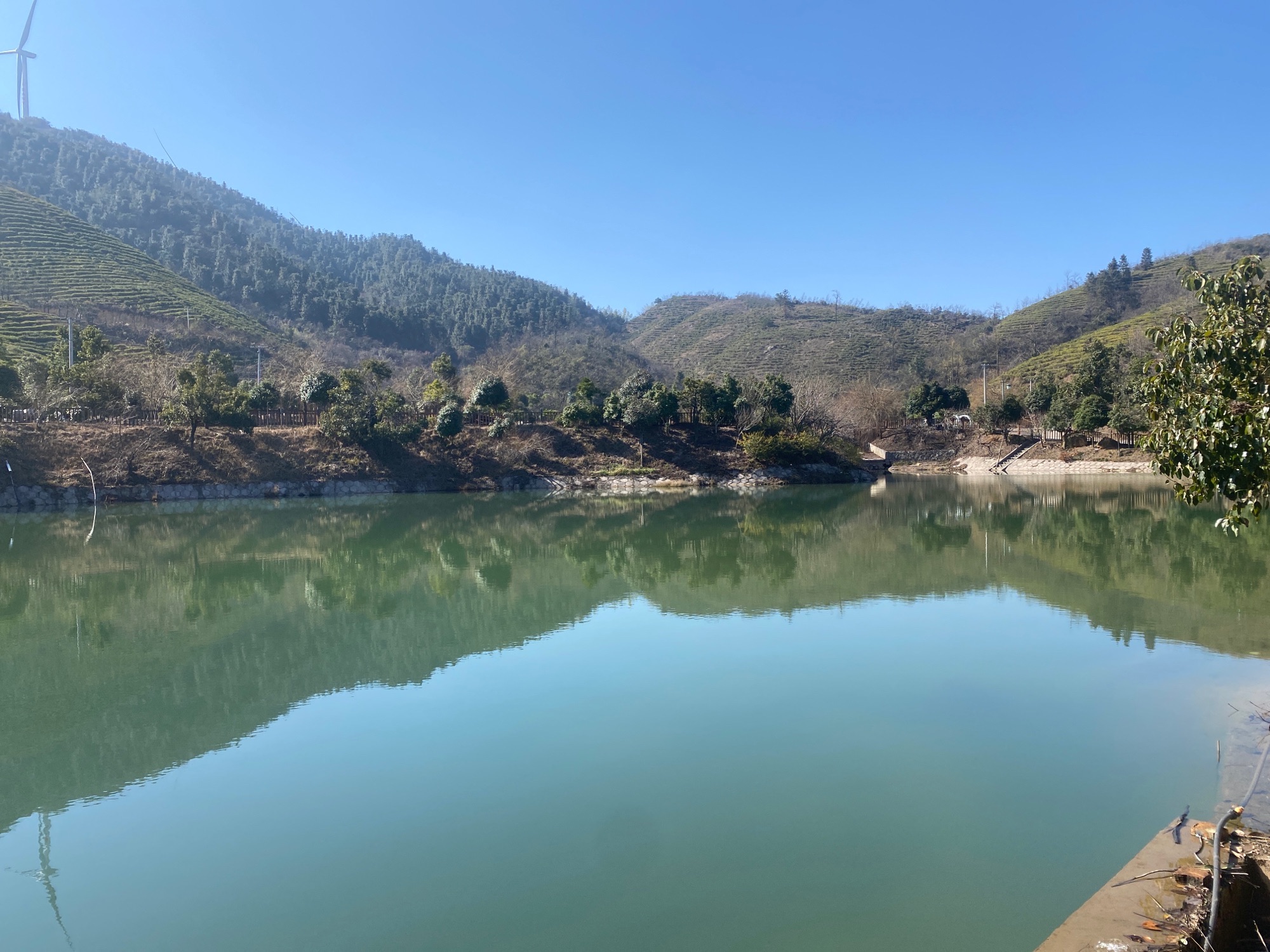 百叠岭茶文化生态旅游区旅行图片 1