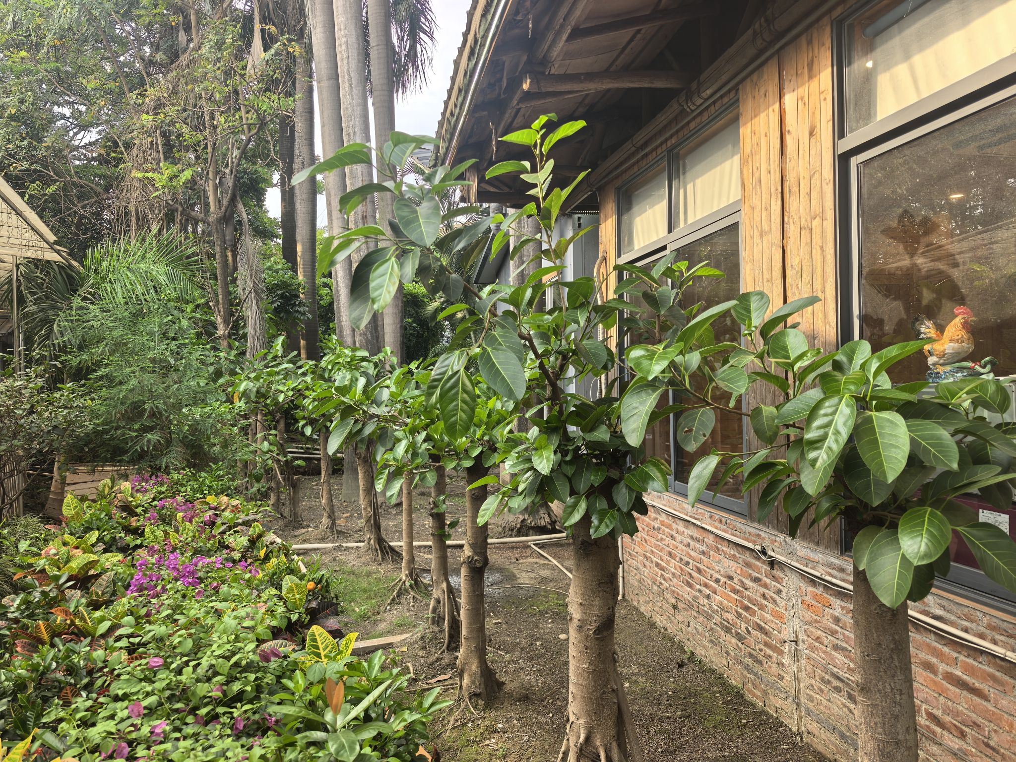 德胜休闲农庄