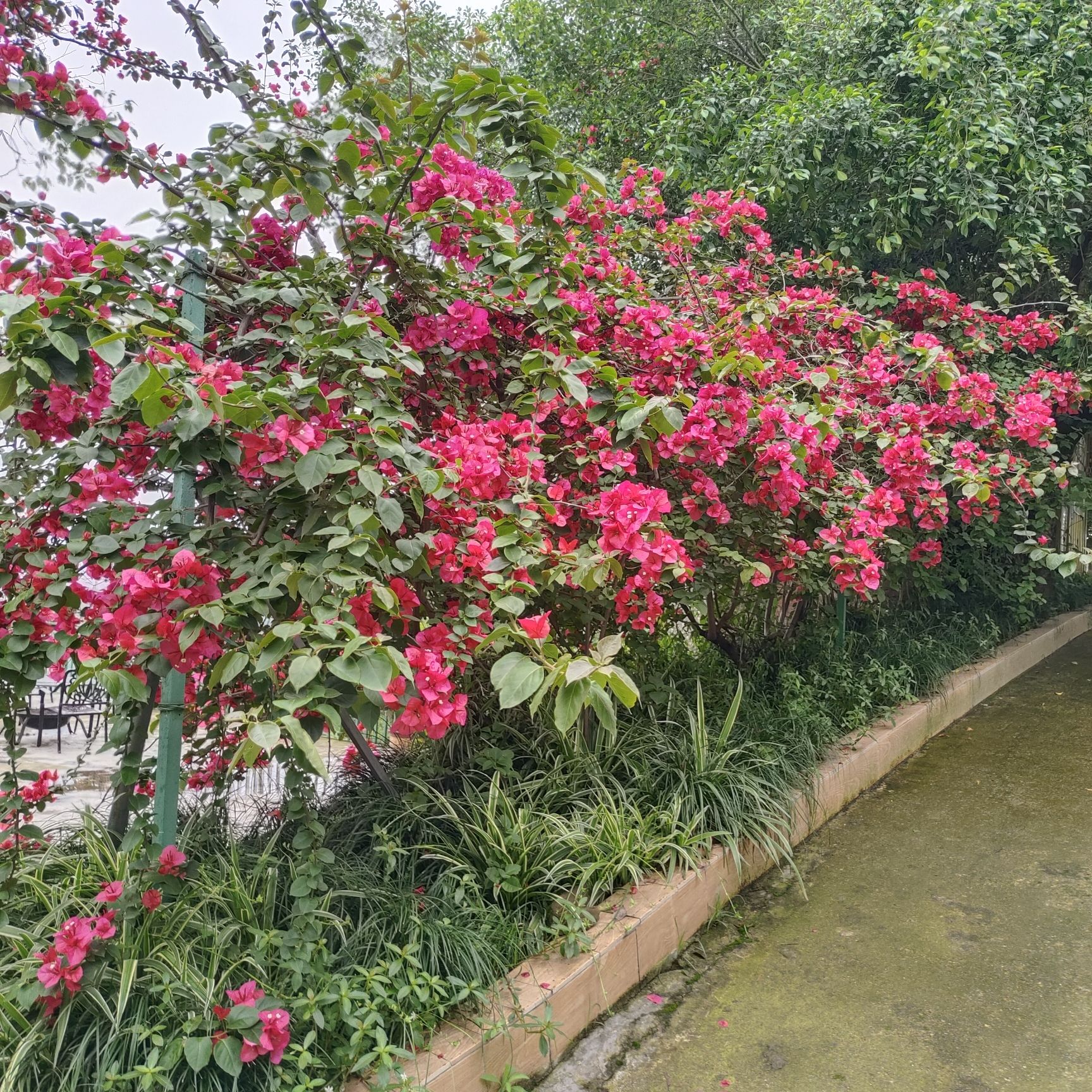 南海地球村亲子乐园旅行图片 2