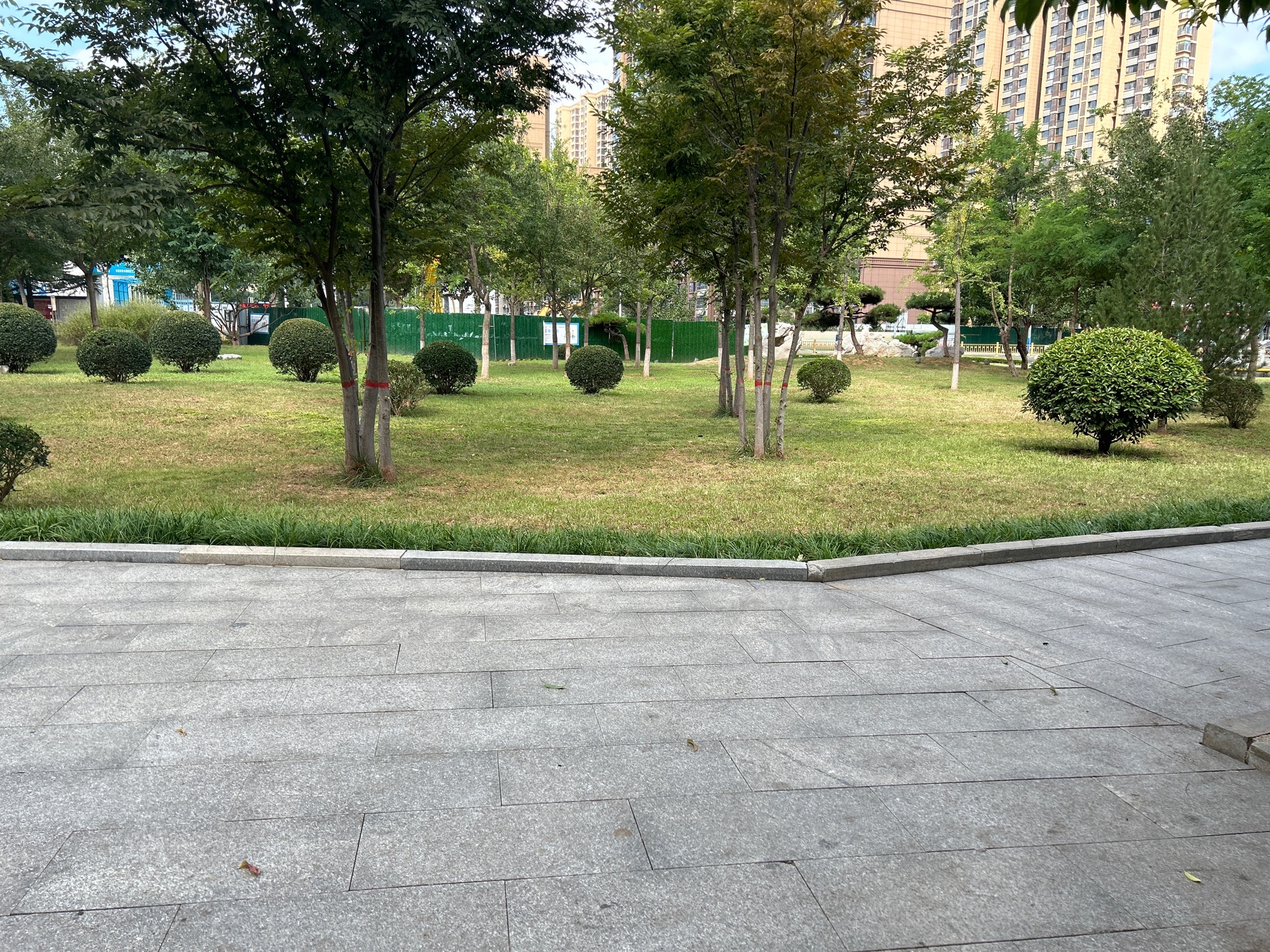 双龙山公园旅行图片 3
