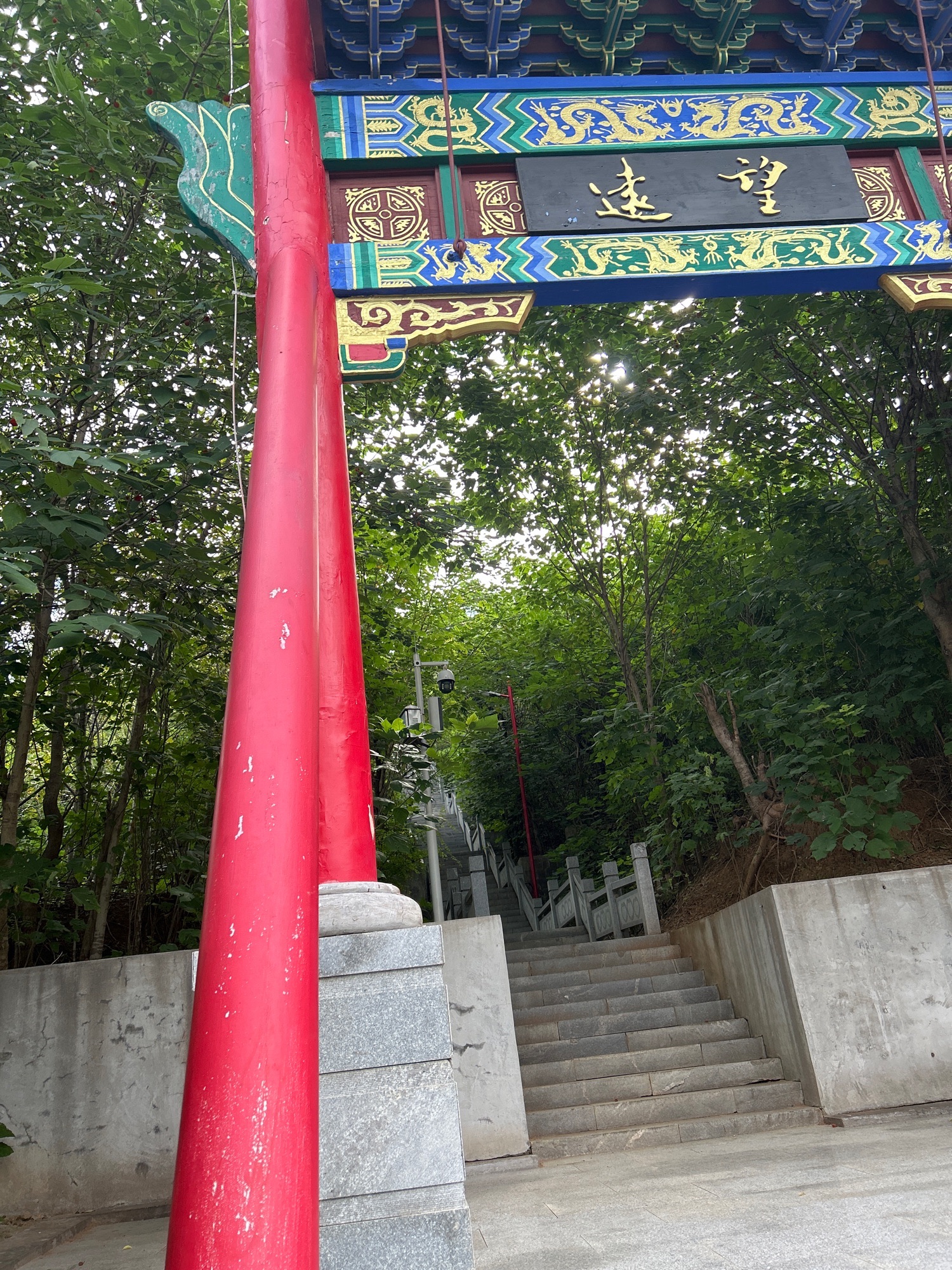 双龙山公园旅行图片 2