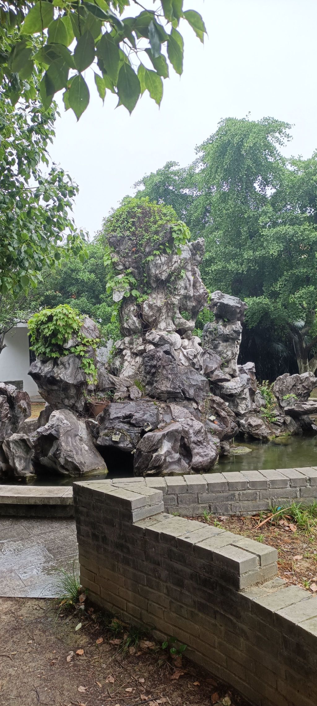 龙溪公园旅行图片 2