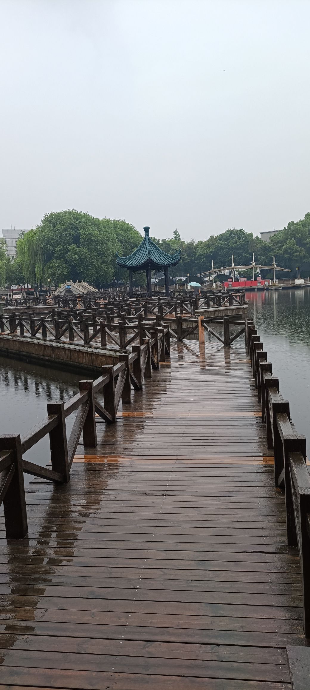 龙溪公园旅行图片 3