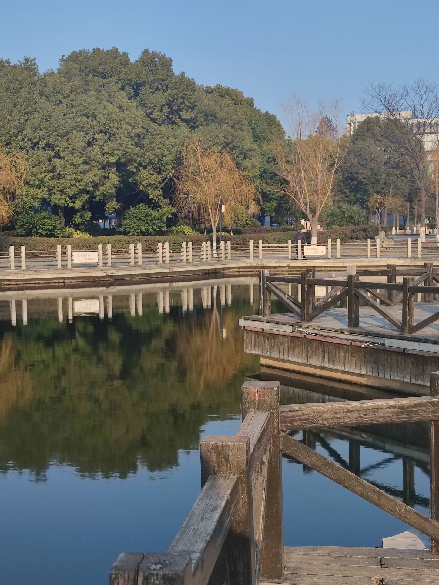龙溪公园