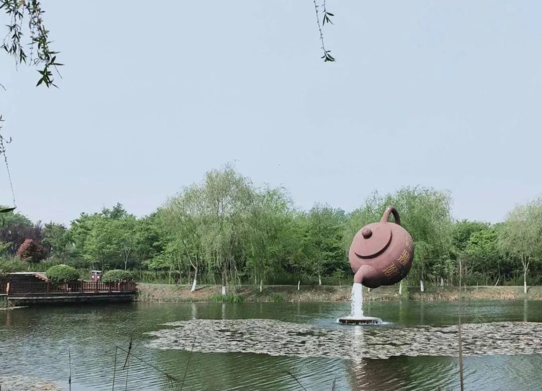 江苏茶博园旅行图片 2